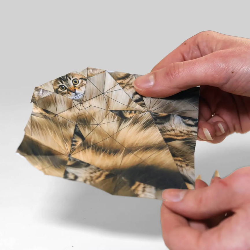 Paper Cats 4.png