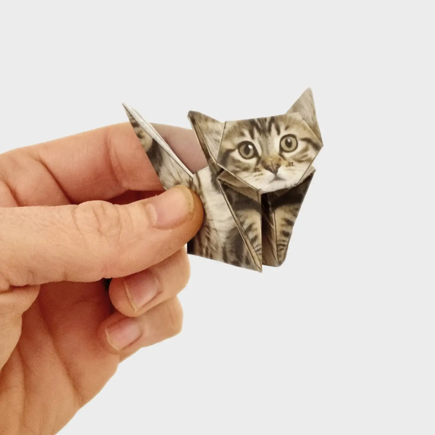 Paper Cats 3.png
