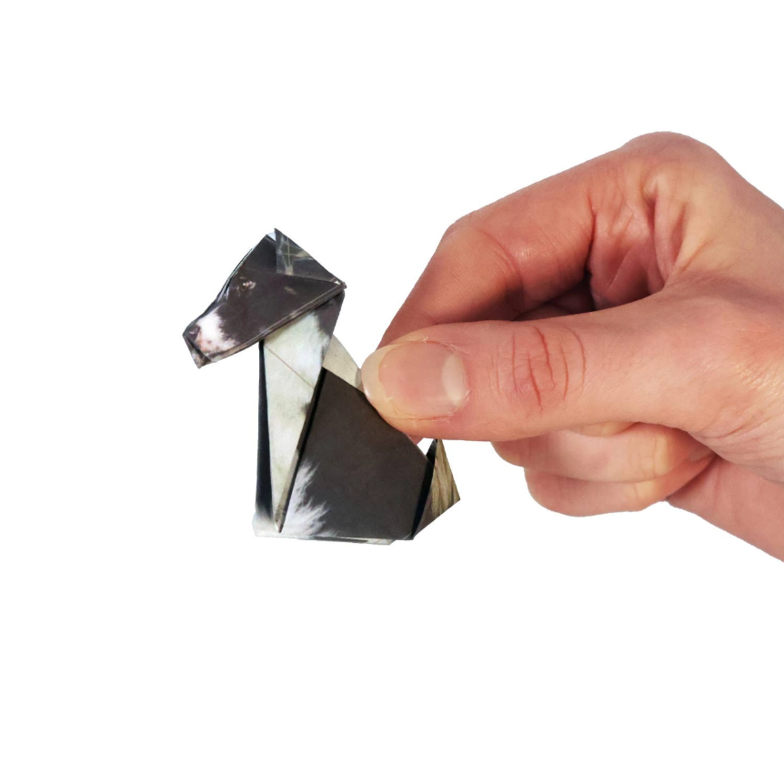 Paper Pups 6png.png