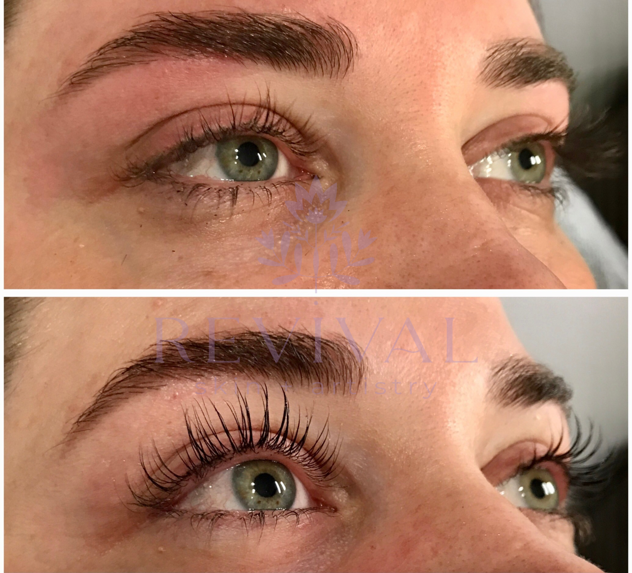 Untitled design 6.png