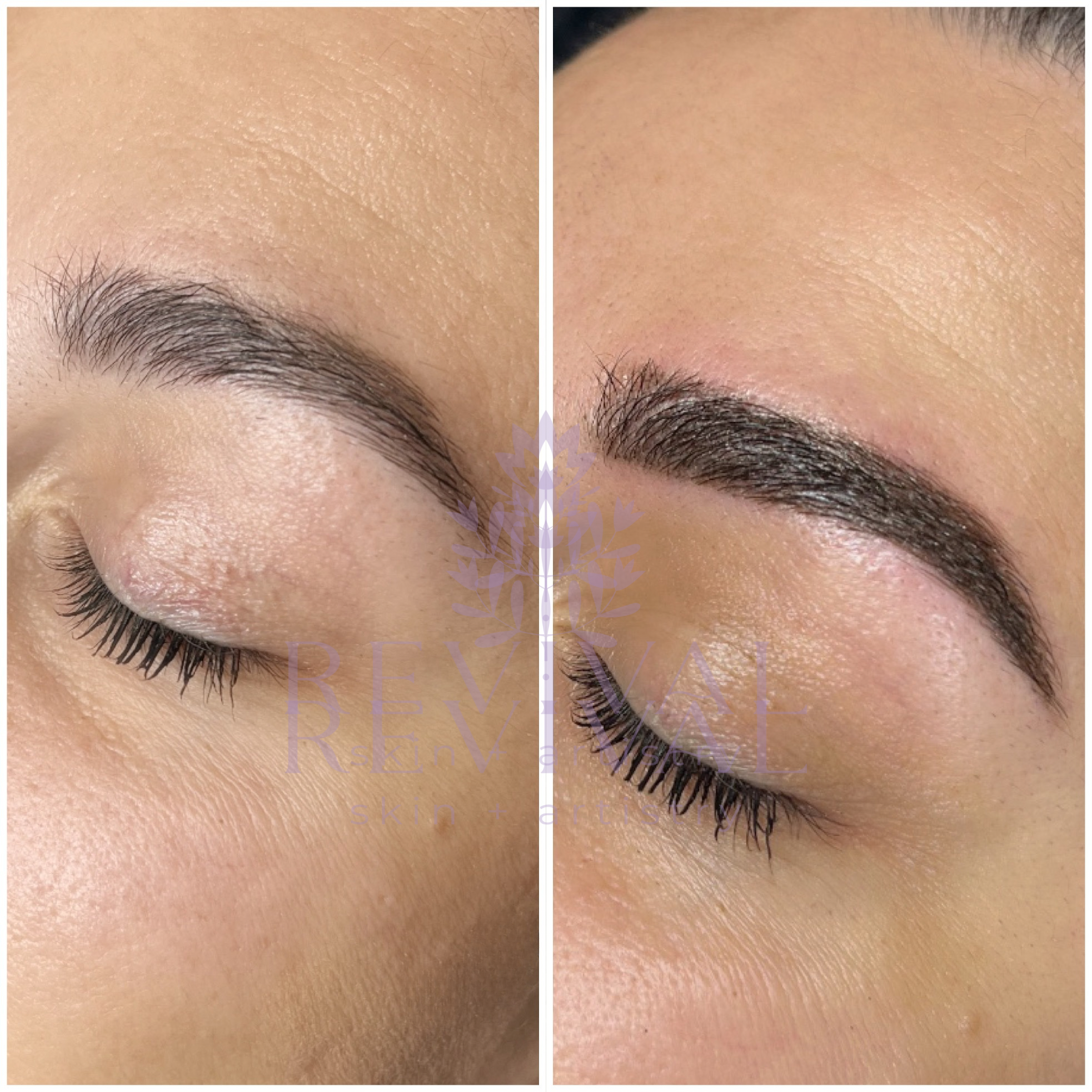 Powder Brow Experts Denver.png
