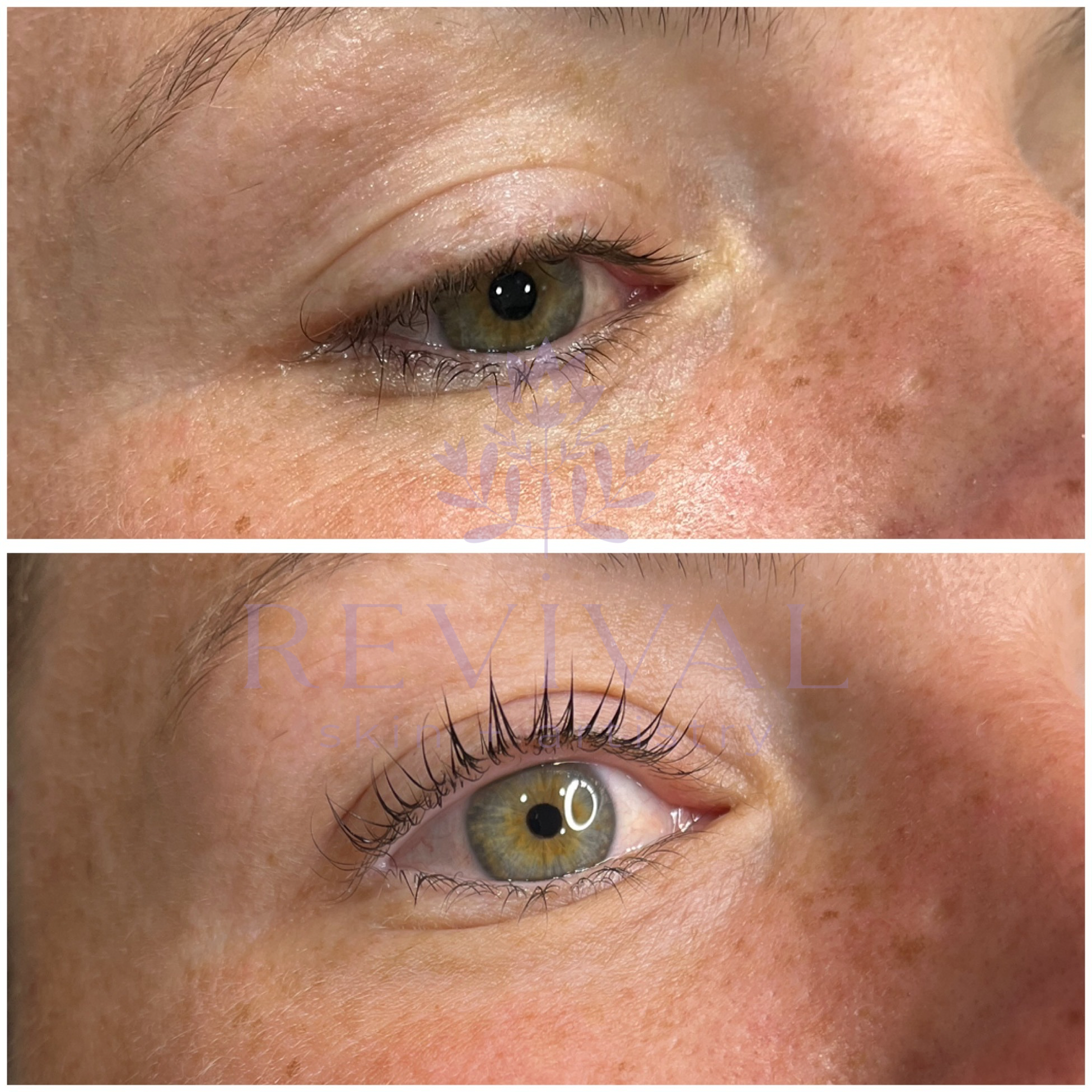 Untitled design 3.PNG