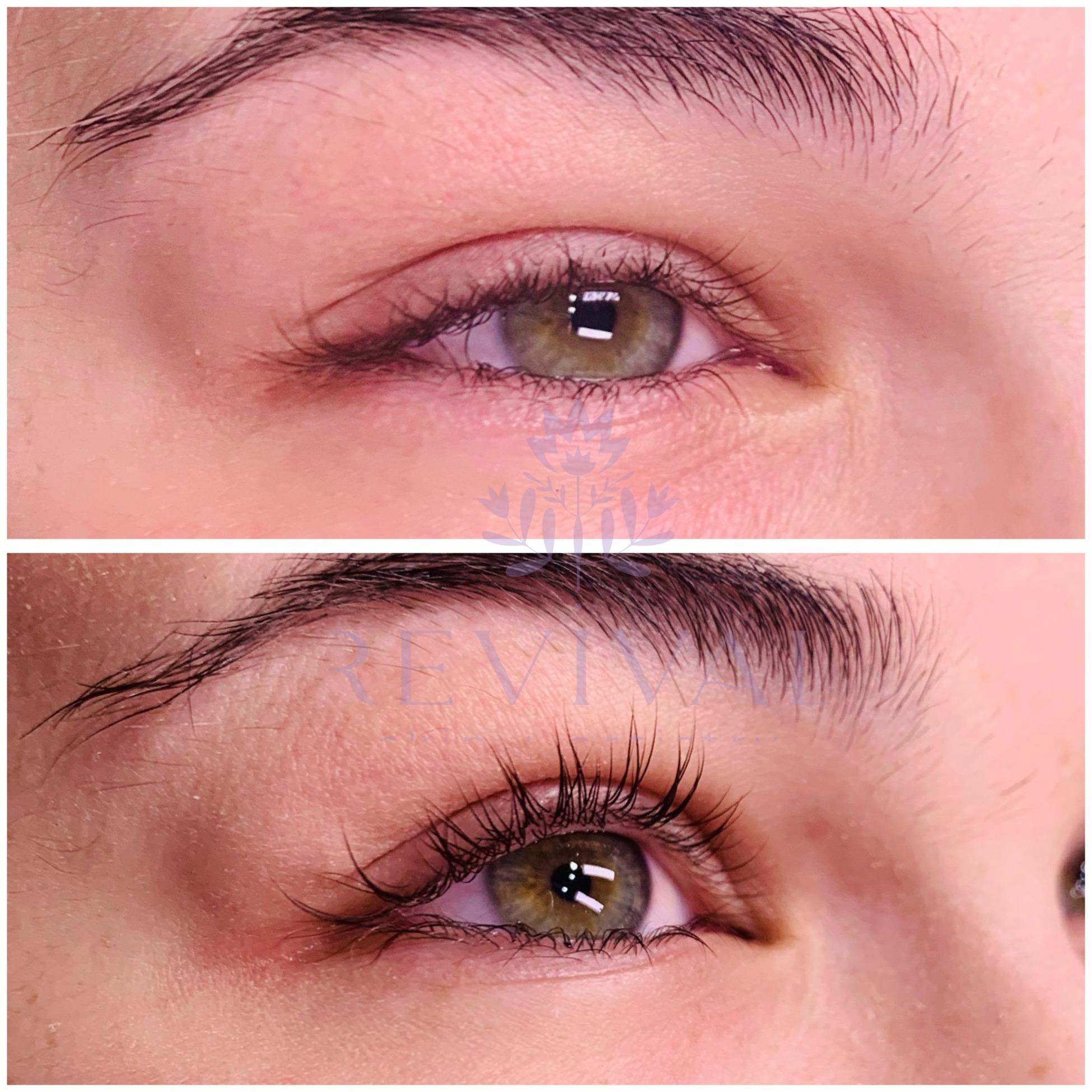 Untitled design 2.png