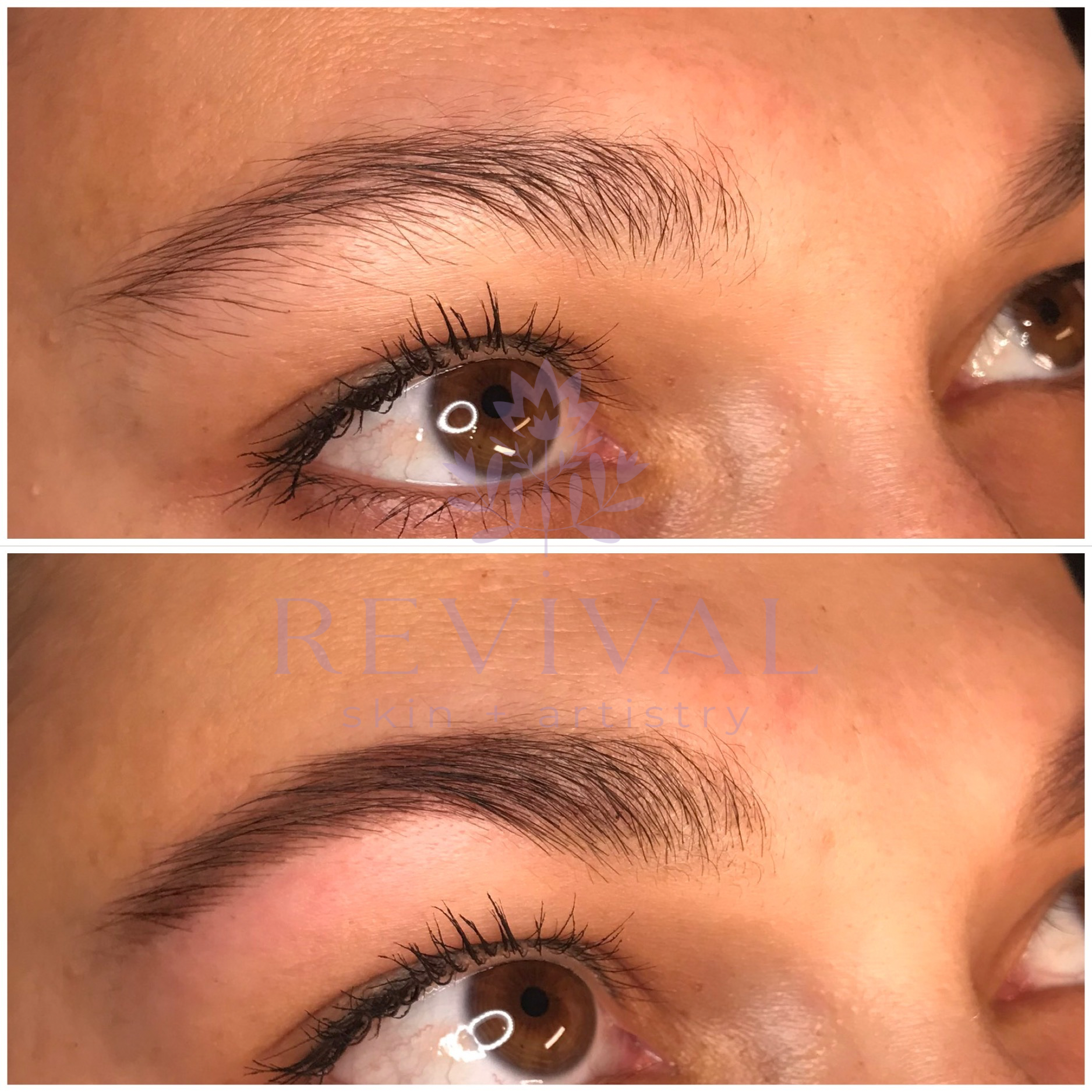 Untitled design 4.PNG