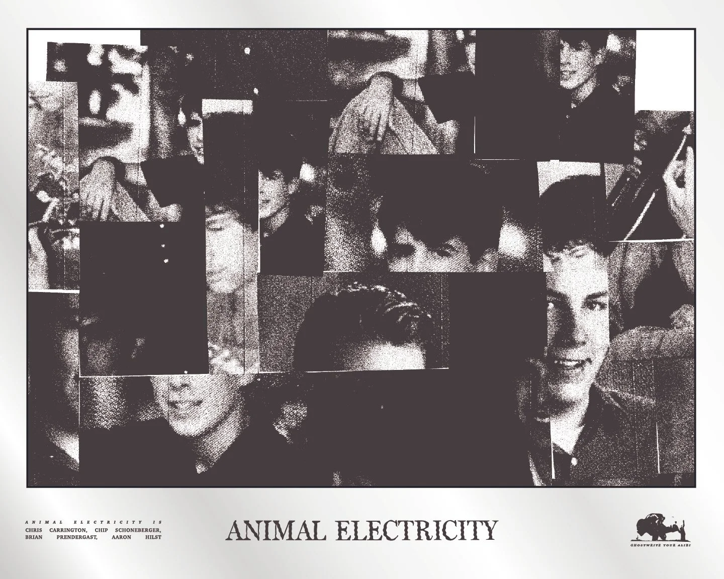 Black and white collage of different people's faces, with text at the bottom that says "Animal Electricity" and credits to Chris Carrington, Chip Schoenberger, Brian Prendergast, and Aaron Hilst. There's also a small logo of a lion with a guitar in the bottom right corner.