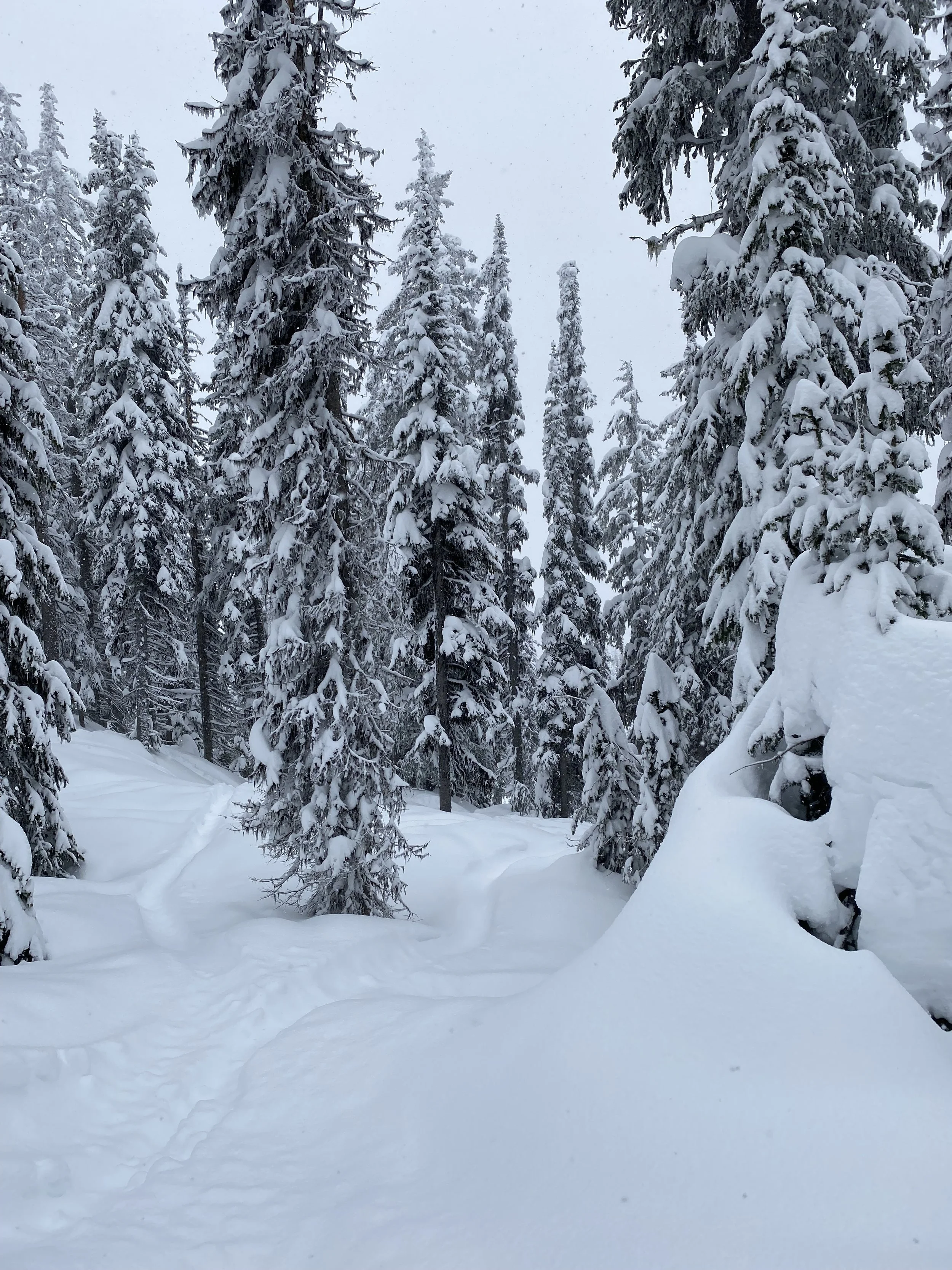 Powder Days &amp; Parking Lot Play — February Adventures Are Calling