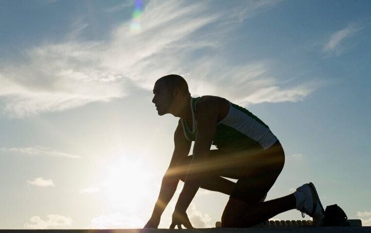 What degree is best for career preparation: Liberal arts or a professional program?