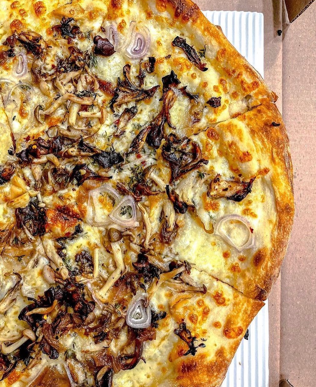 Wild Shroom close-up by @thefoode 🍕 We can&rsquo;t wait to make this into a 🍔 #ESPxTedsBurgers

#MushroomPizza #SourdoughPizza #NaturallyLeavened #Shrooms #Pizzagram #Pizzaporn #DailyPizza