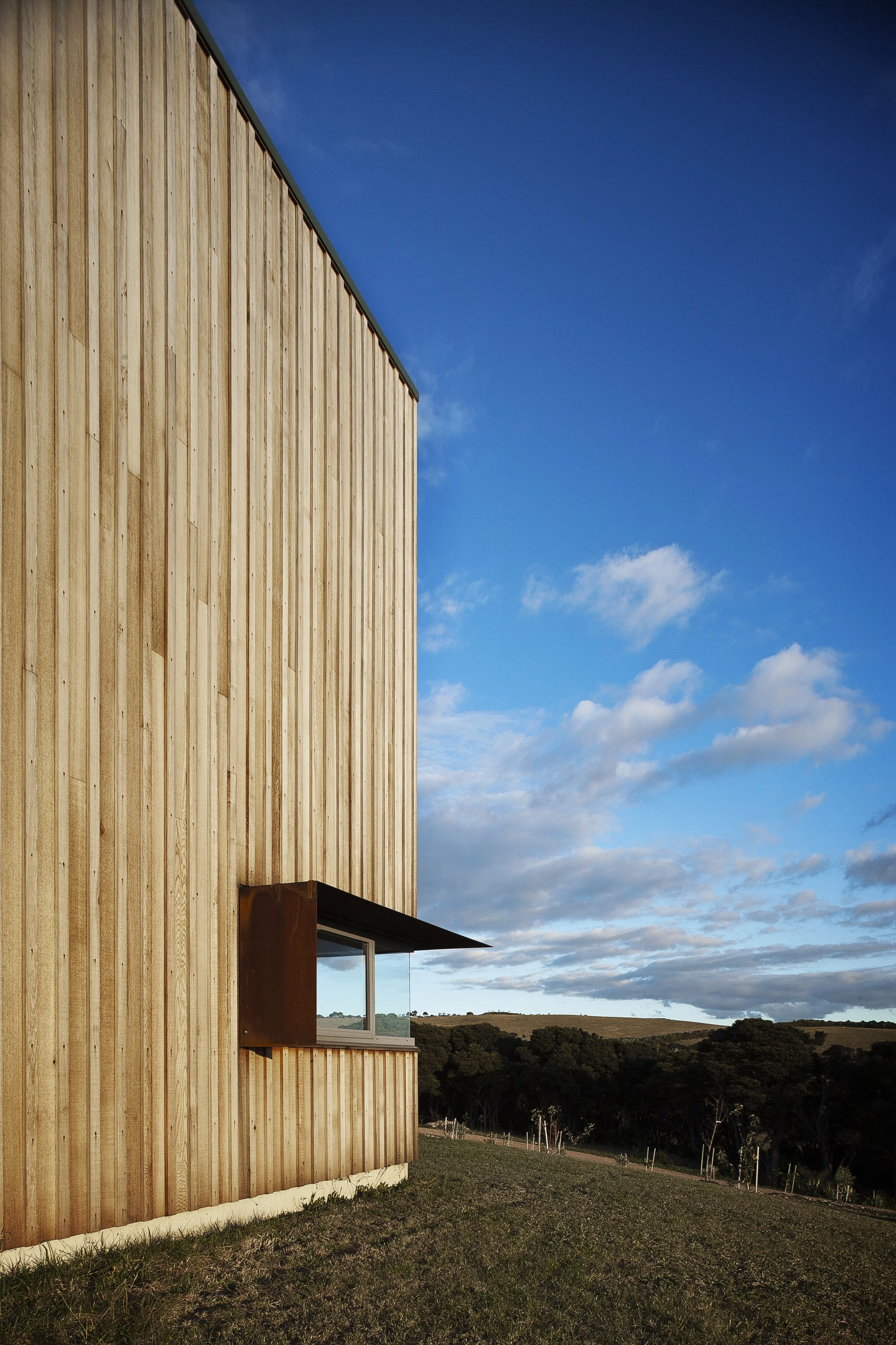 FISHMAN HSE_6115.jpg