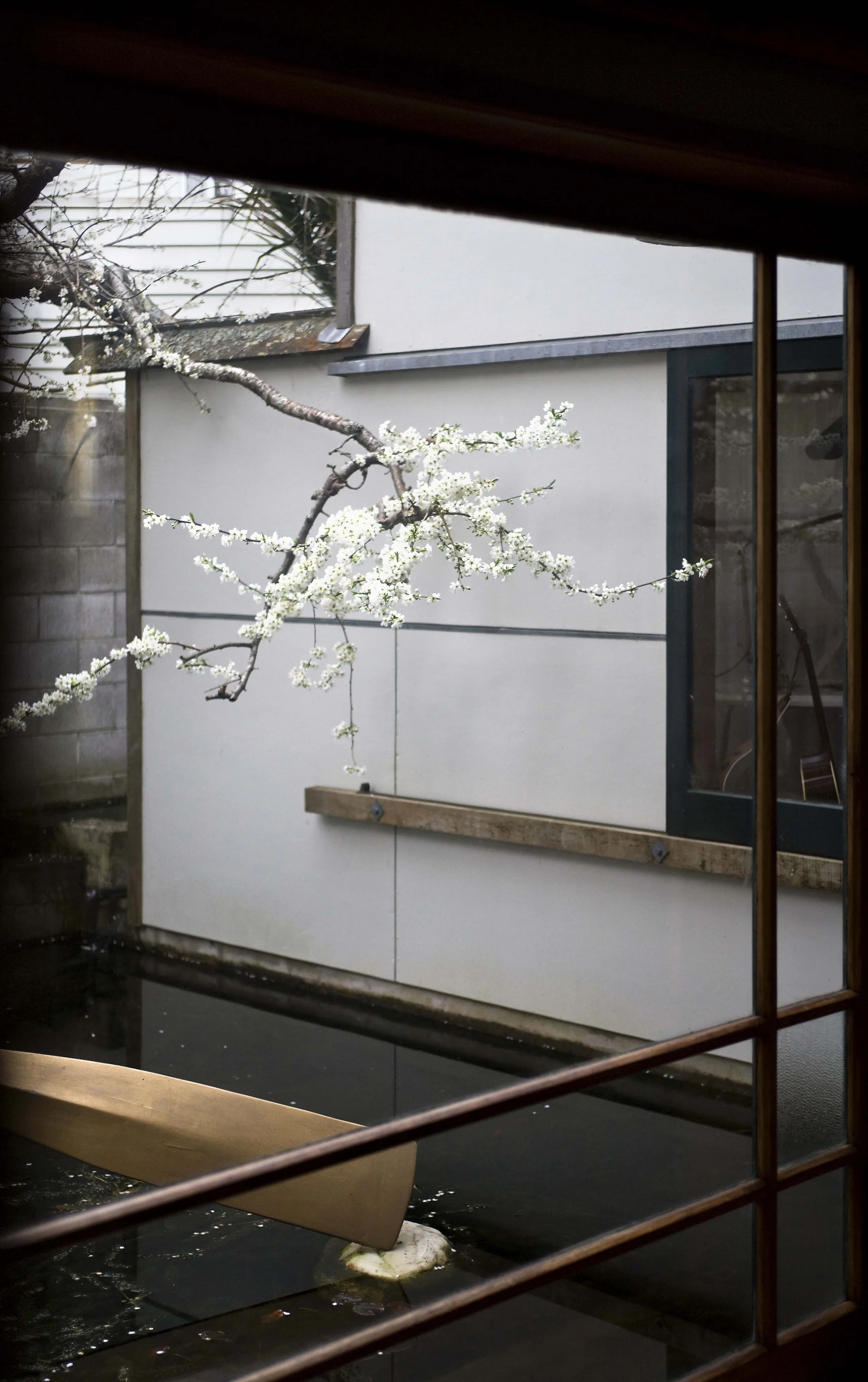 HekeSt_Pond Simon Devitt.jpg