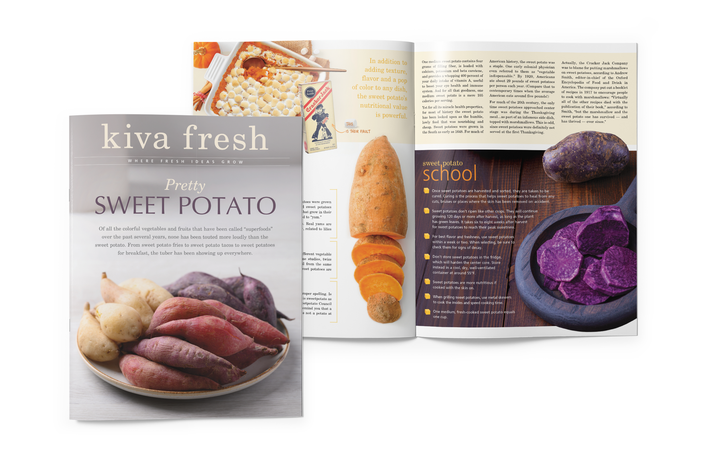 Sweet Potato