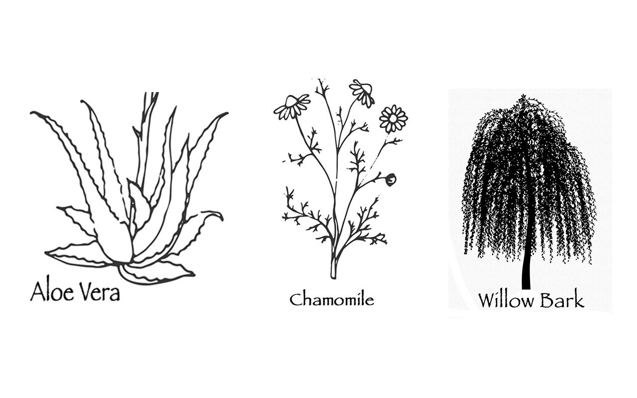 Botanic Sylvan Ingredients Collage.jpeg