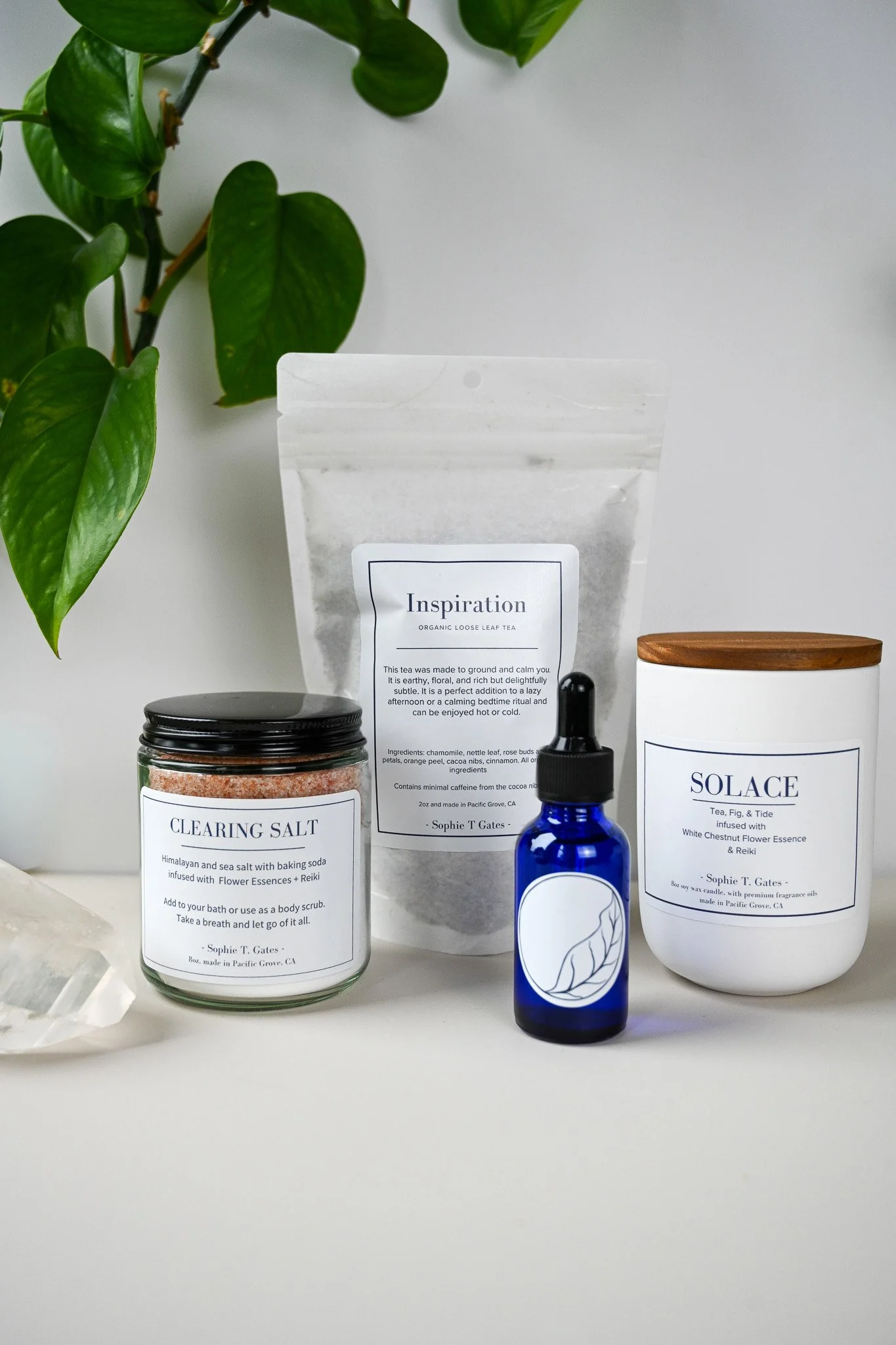 Sophie Gates Box-04.jpg