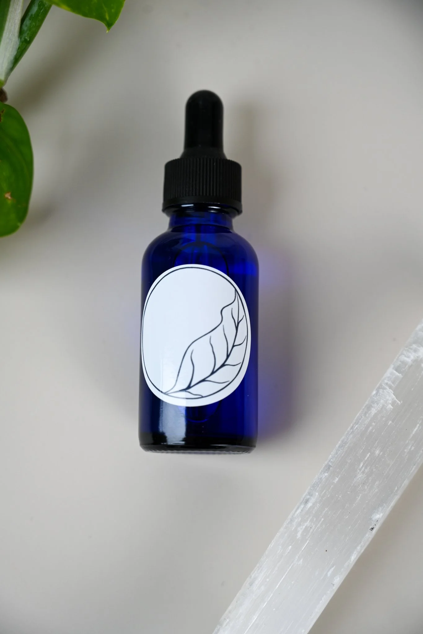 Sophie Gates Box-41.jpg