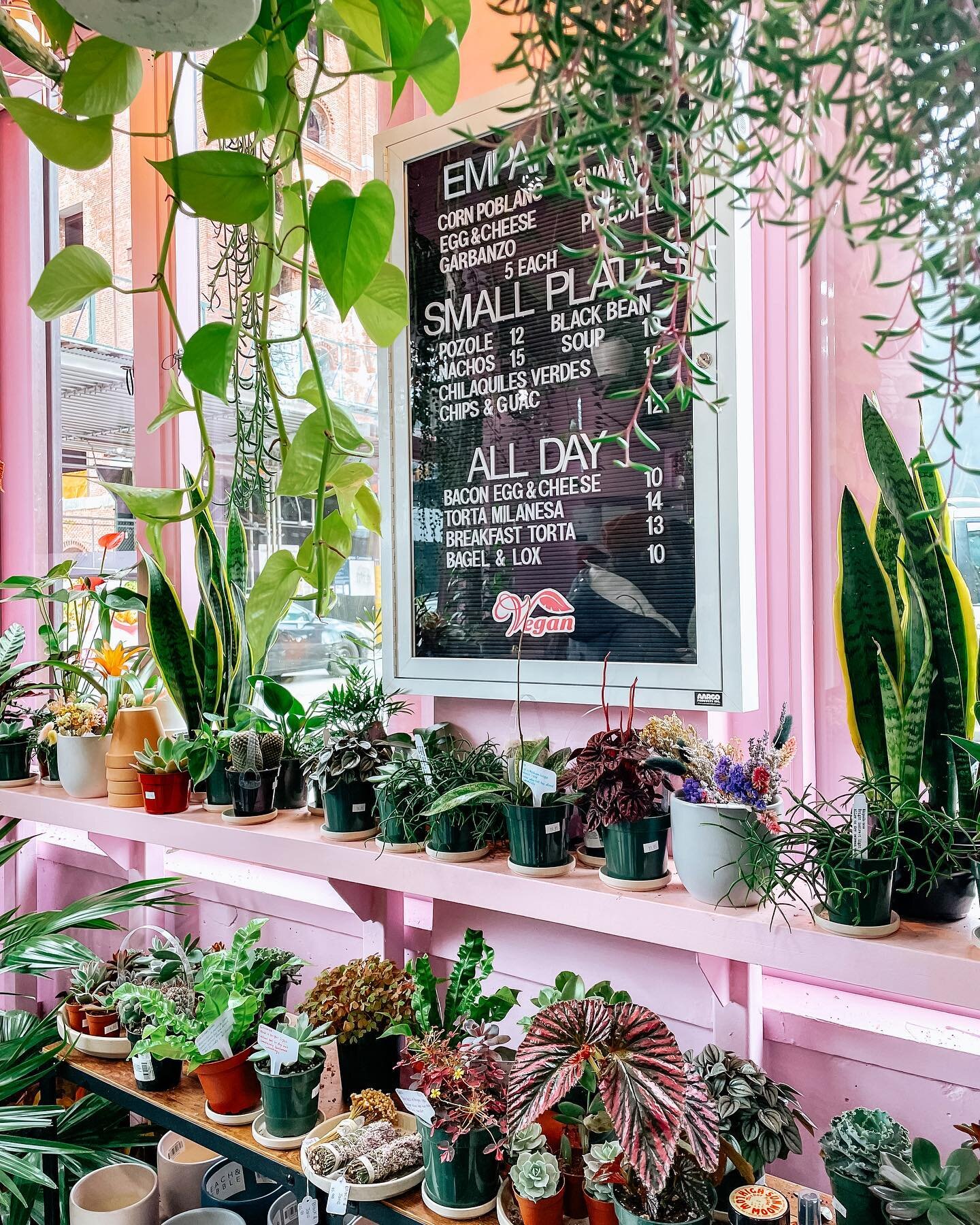 plant shop + vegan caf&eacute; inspo on this cold, sunny Monday here in NYC 🌱🌸 I wandered into Guevara&rsquo;s this weekend and it&rsquo;s a miracle I made it out without buying every single pastry 🍩 We all have a place like that, right?