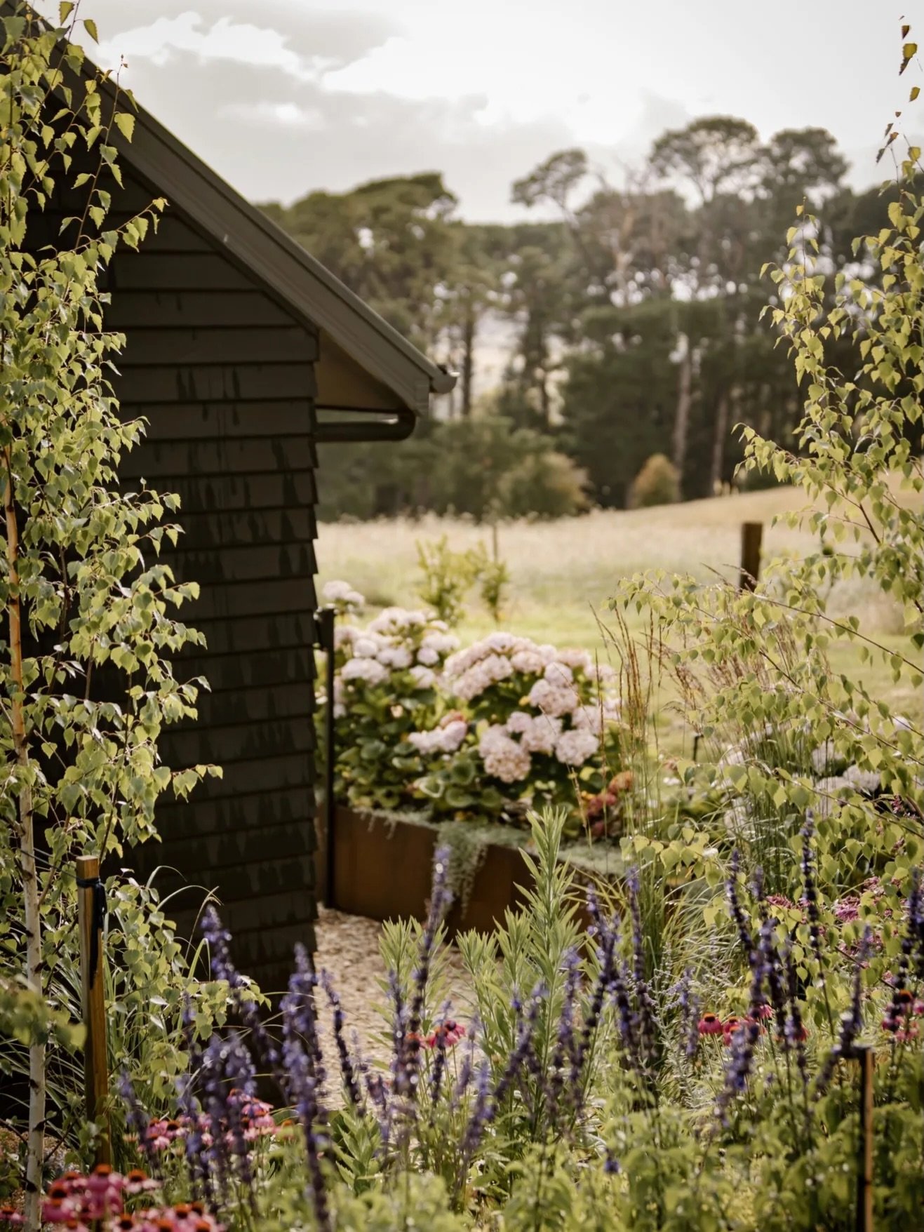 Your summer garden deserves a little more intention. We rounded up ten plants and flowers that bring texture, color, and life to any outdoor space &mdash; whether you&rsquo;re working with a full garden or a single terrace pot. 

Head to the blog for