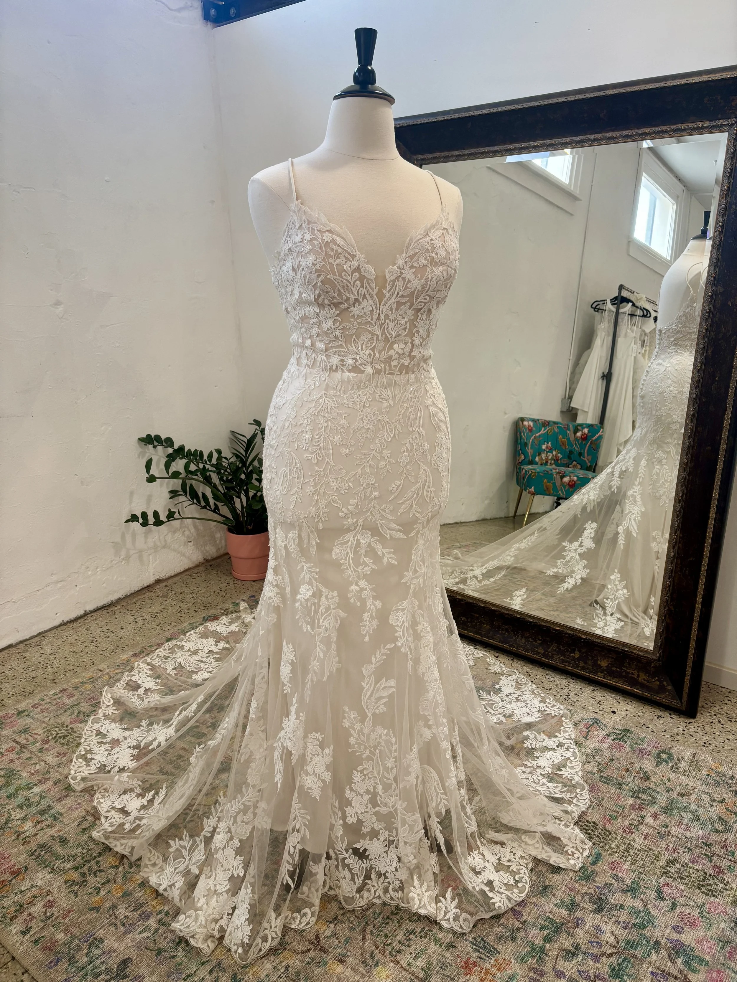 eddy k | mia