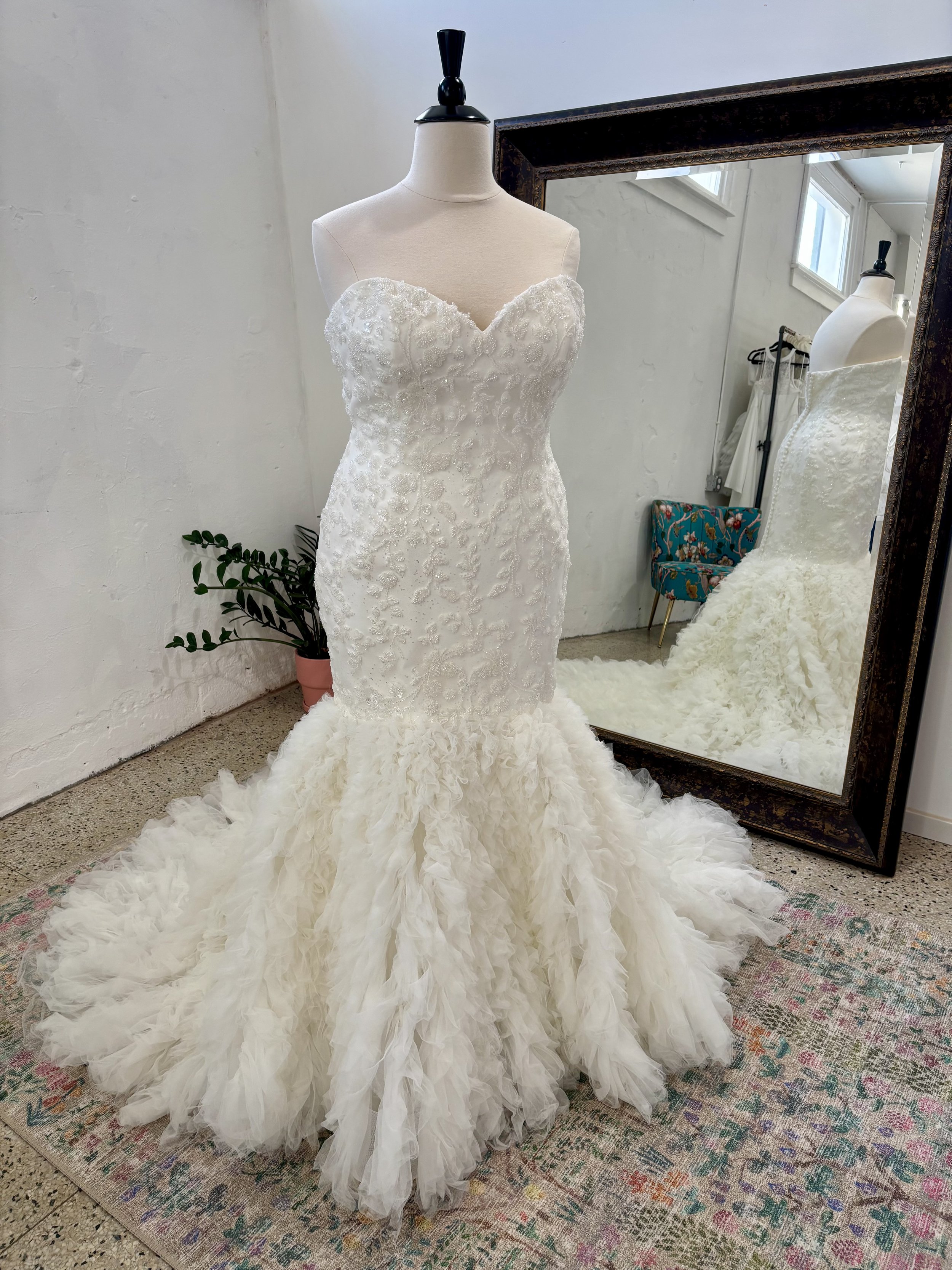 justin alexander | carlotta