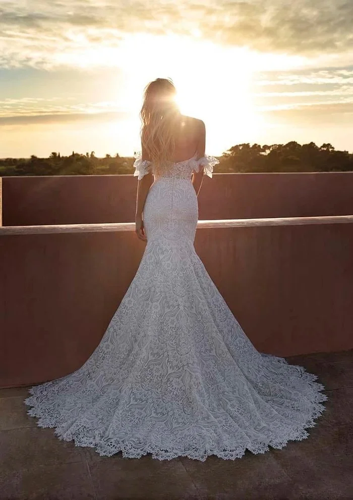 pronovias-wedding-dress-pronovias-safari-price-sale-39276801130734.jpeg