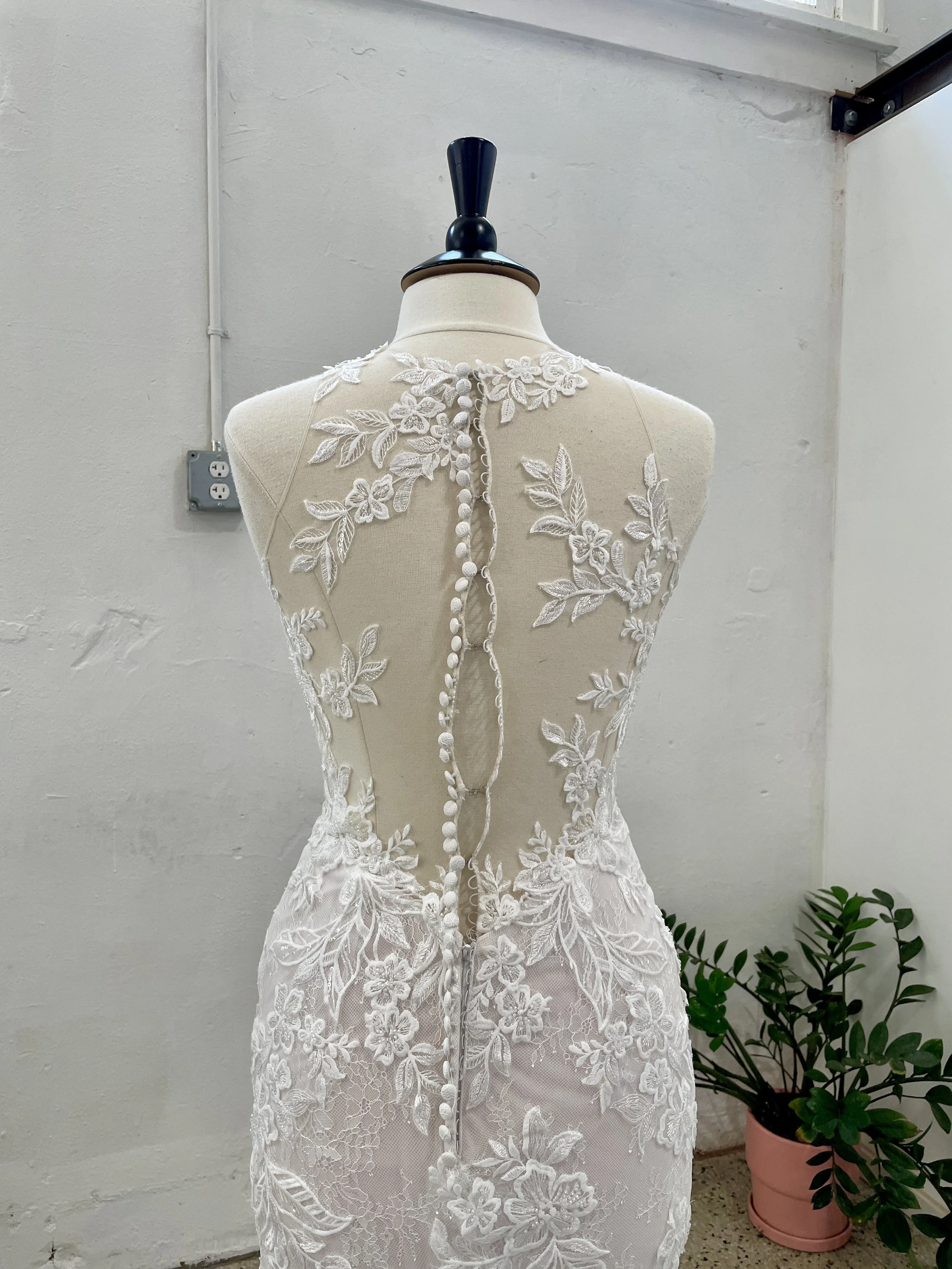 IMG_3875.jpg