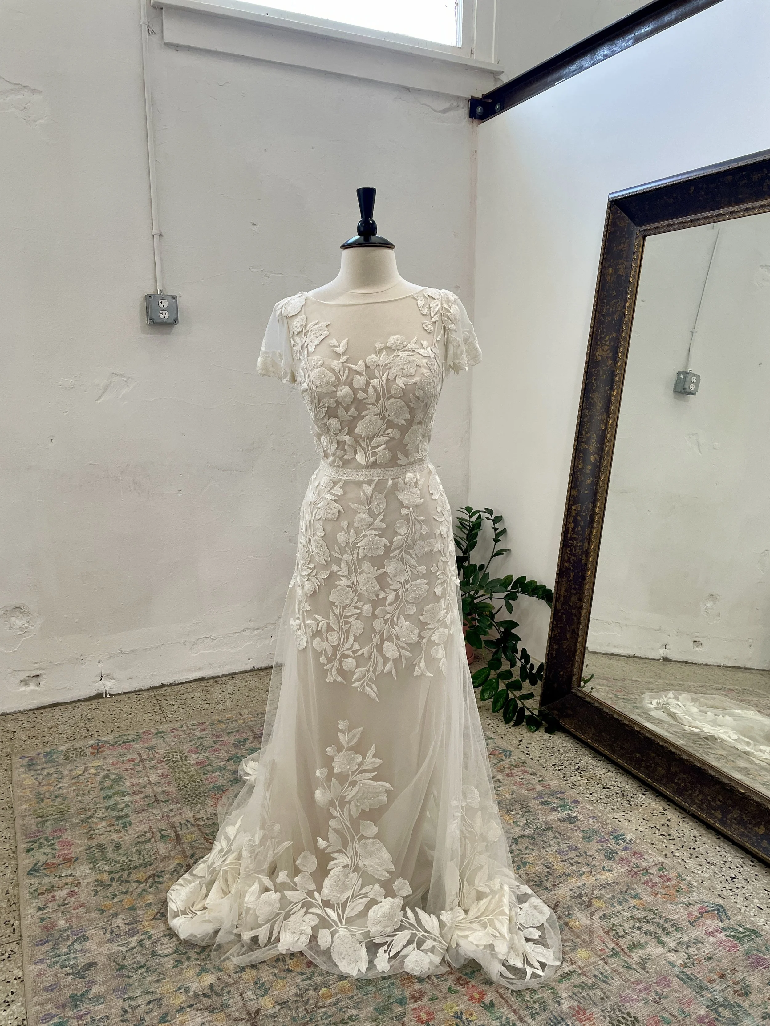 melissa sweet | ms251199