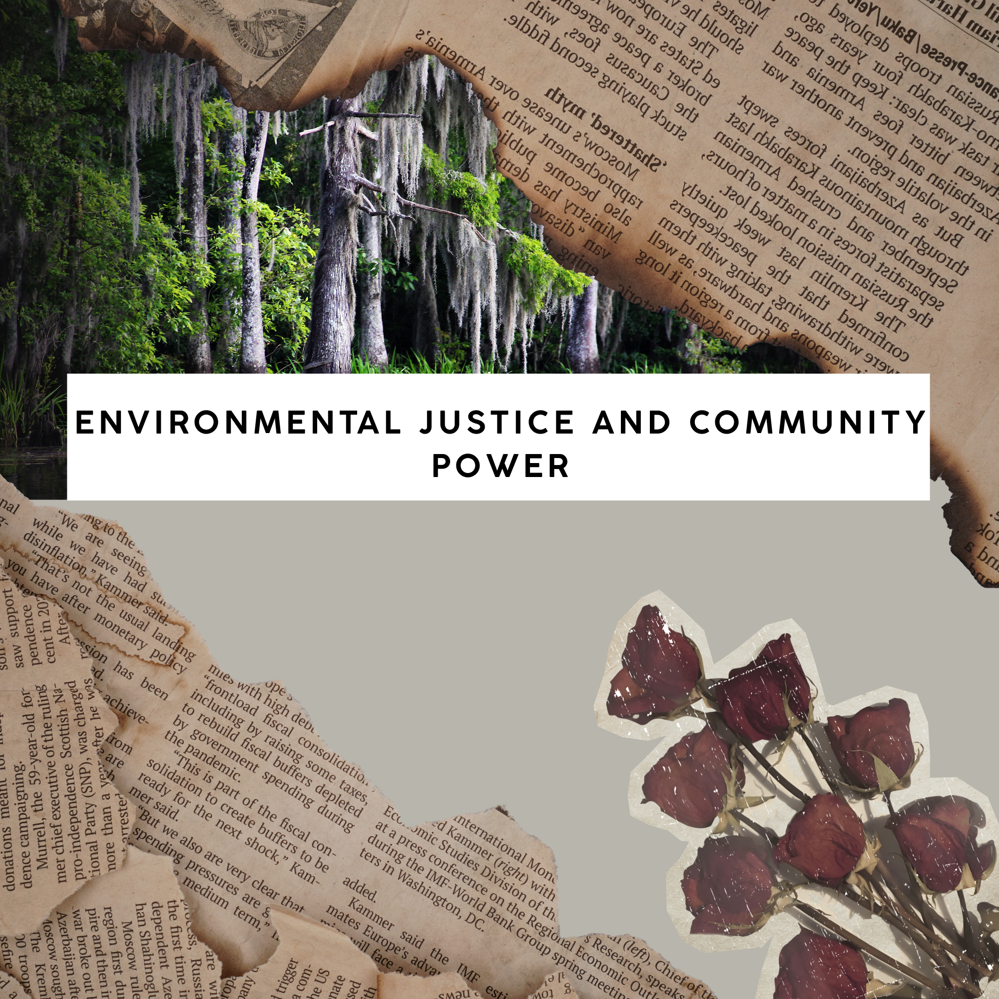 Liberation Academy:&nbsp; Environmental Justice and Community Power