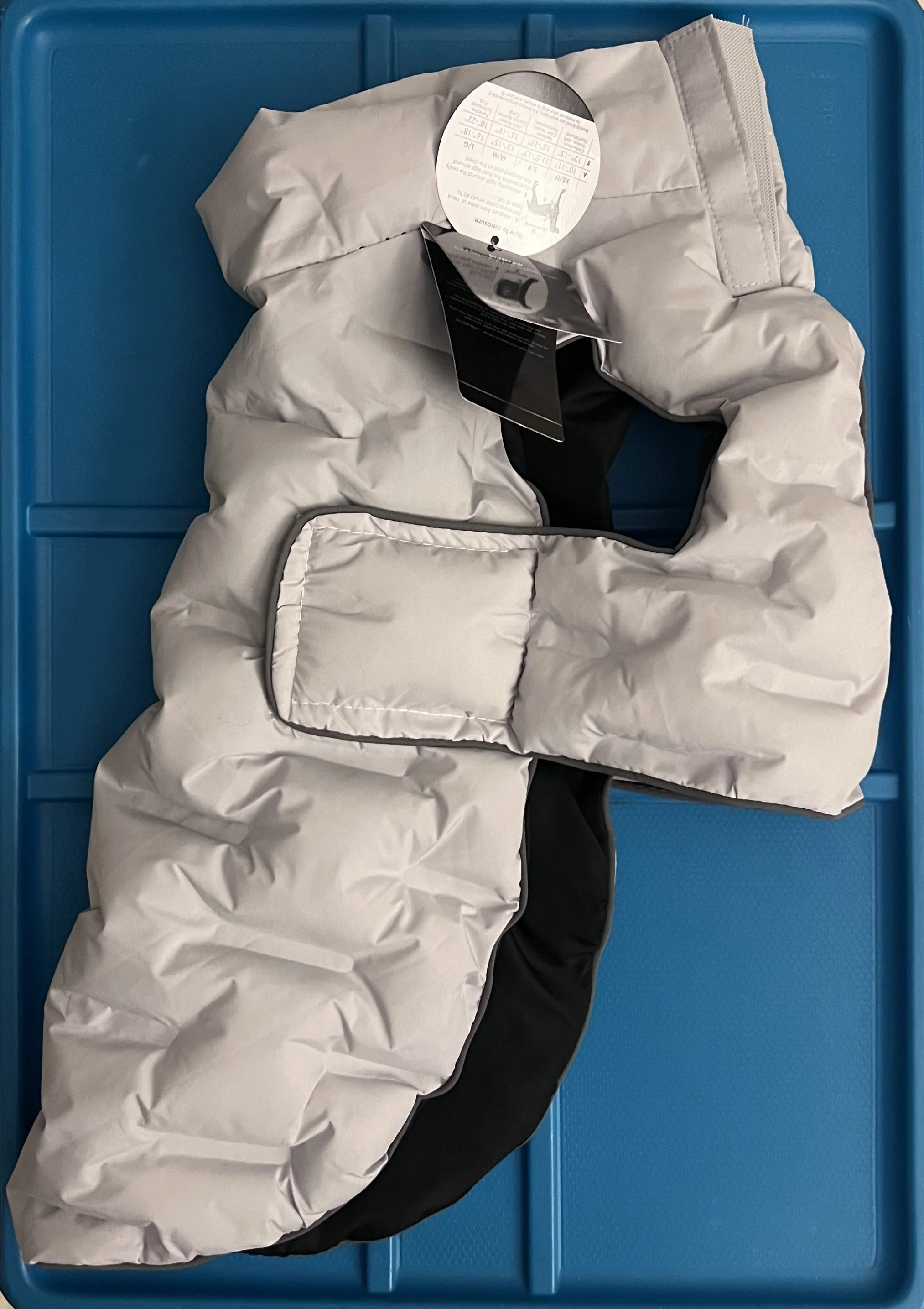 Winter Jacket