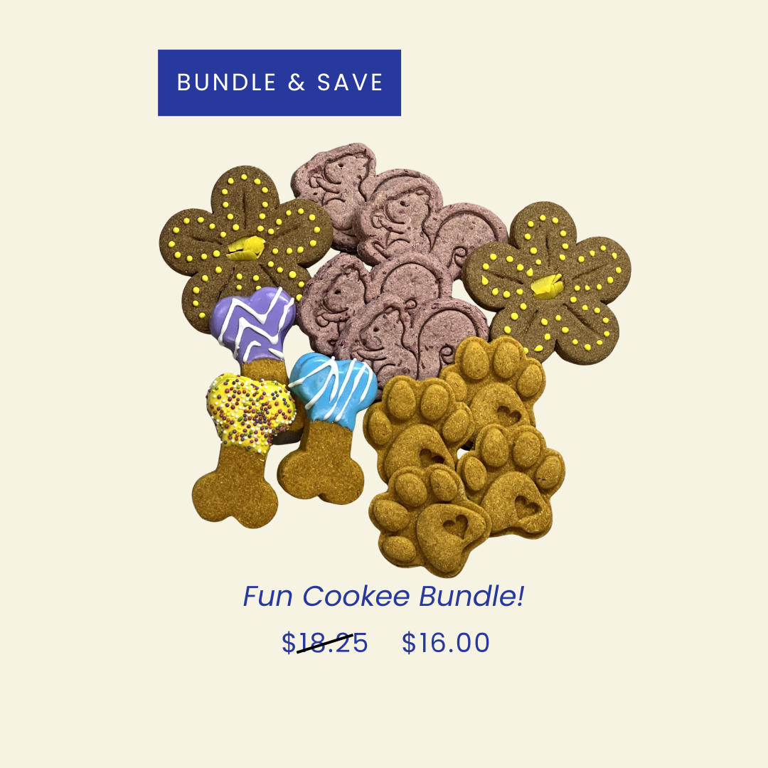 Fun Bundle website.png