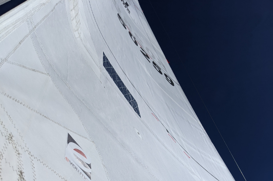 One Design — The Sailing Inc.