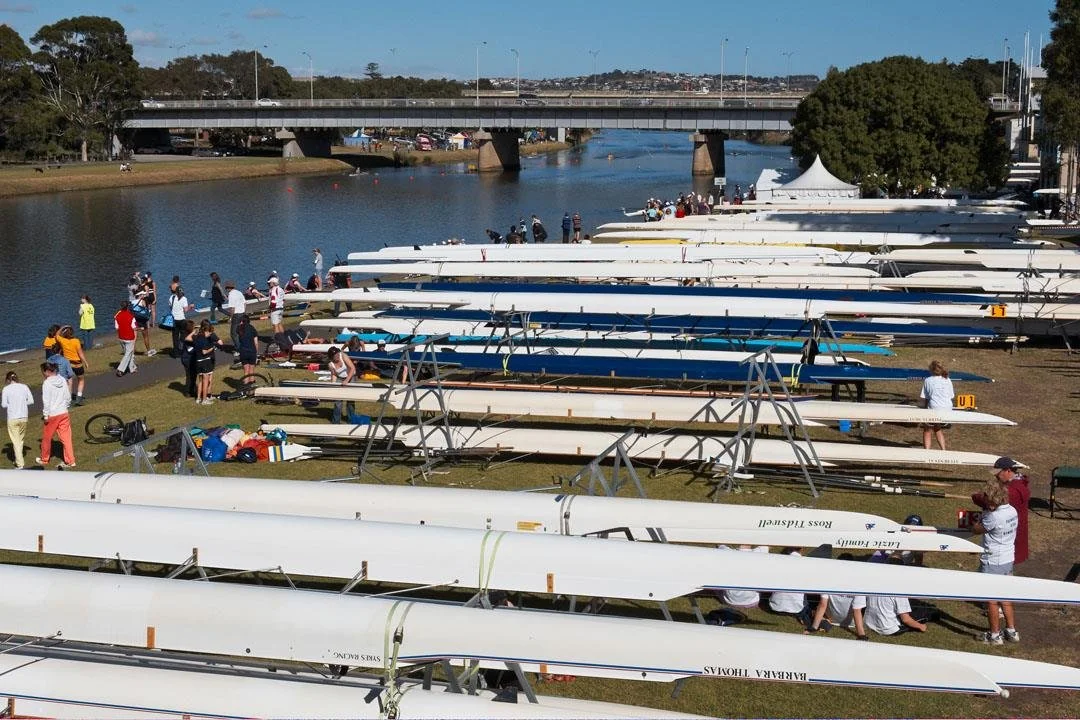Rowing Geelong