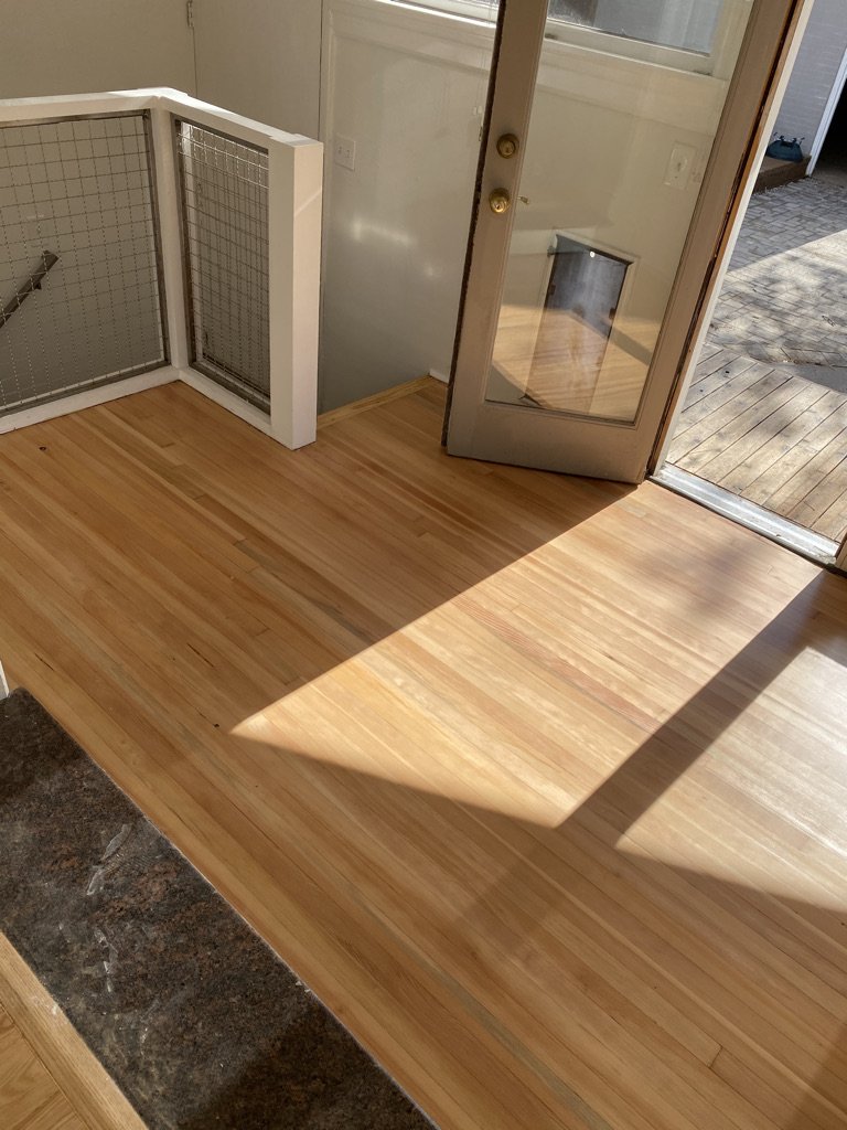 Sunlight coming through glass door illuminating hardwood floor, with a small section of dark countertop visible in the bottom left corner.
