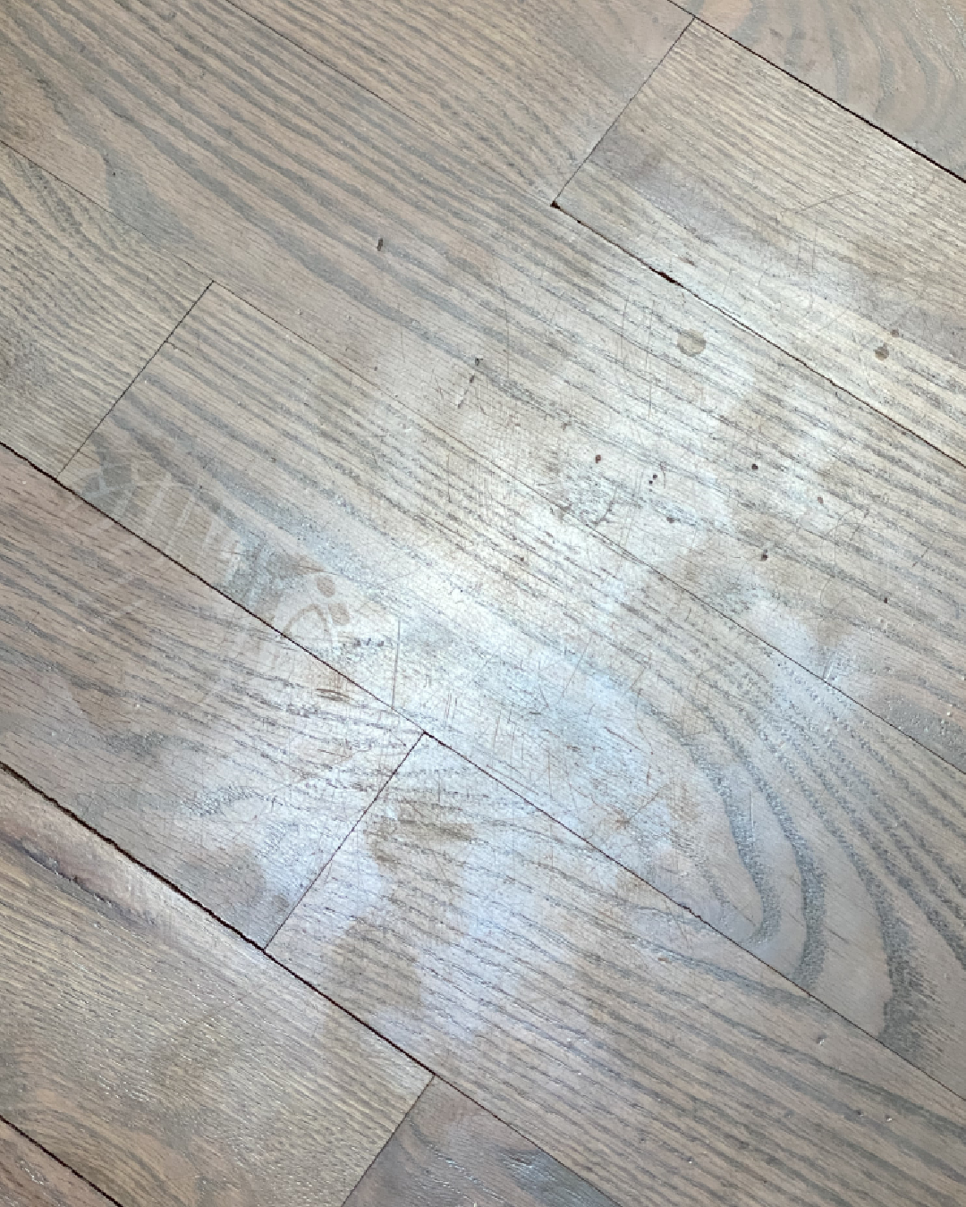 Wood Floor Resurfacing Denver Floor Company