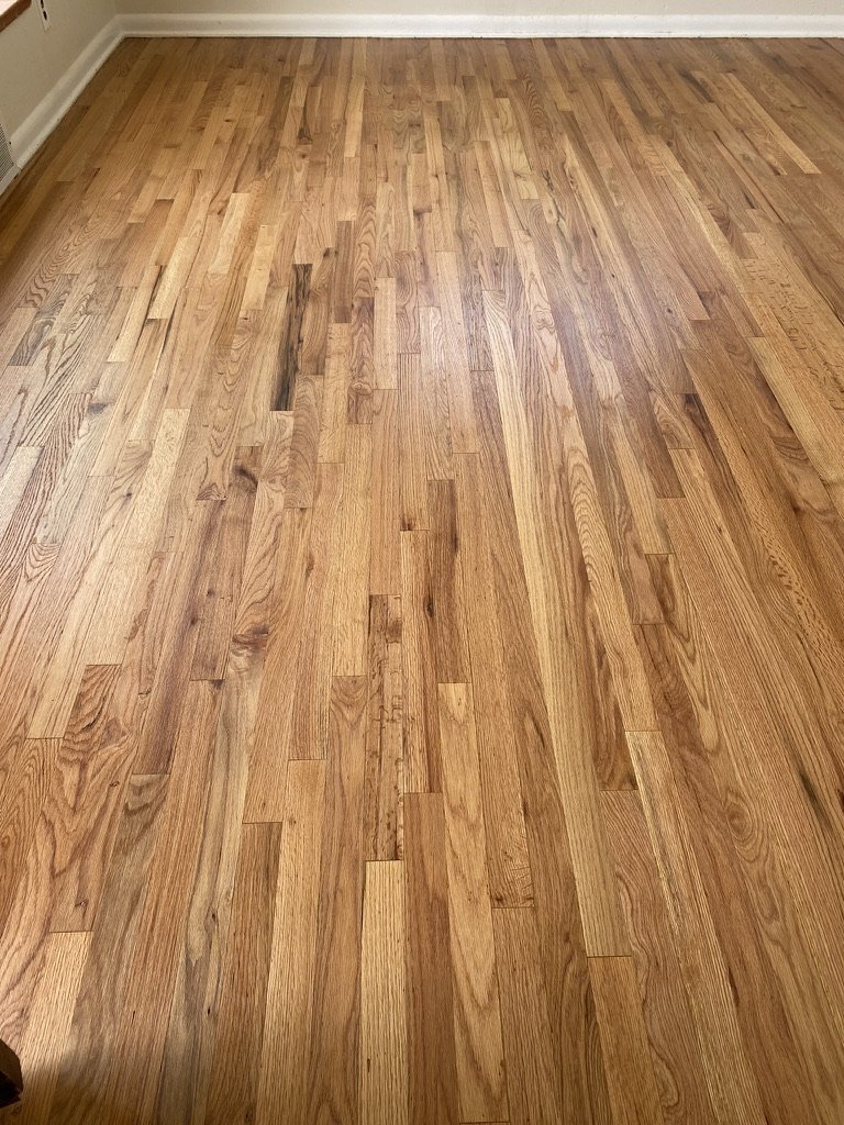 Freshly polished hardwood floor with a natural wood finish in a room with beige walls and white baseboards.