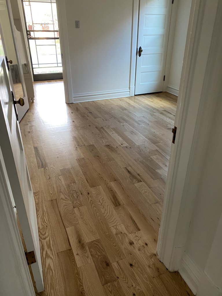 Room with newly refinished hardwood floor, doorway on the right, and a glass door leading outside in the background.