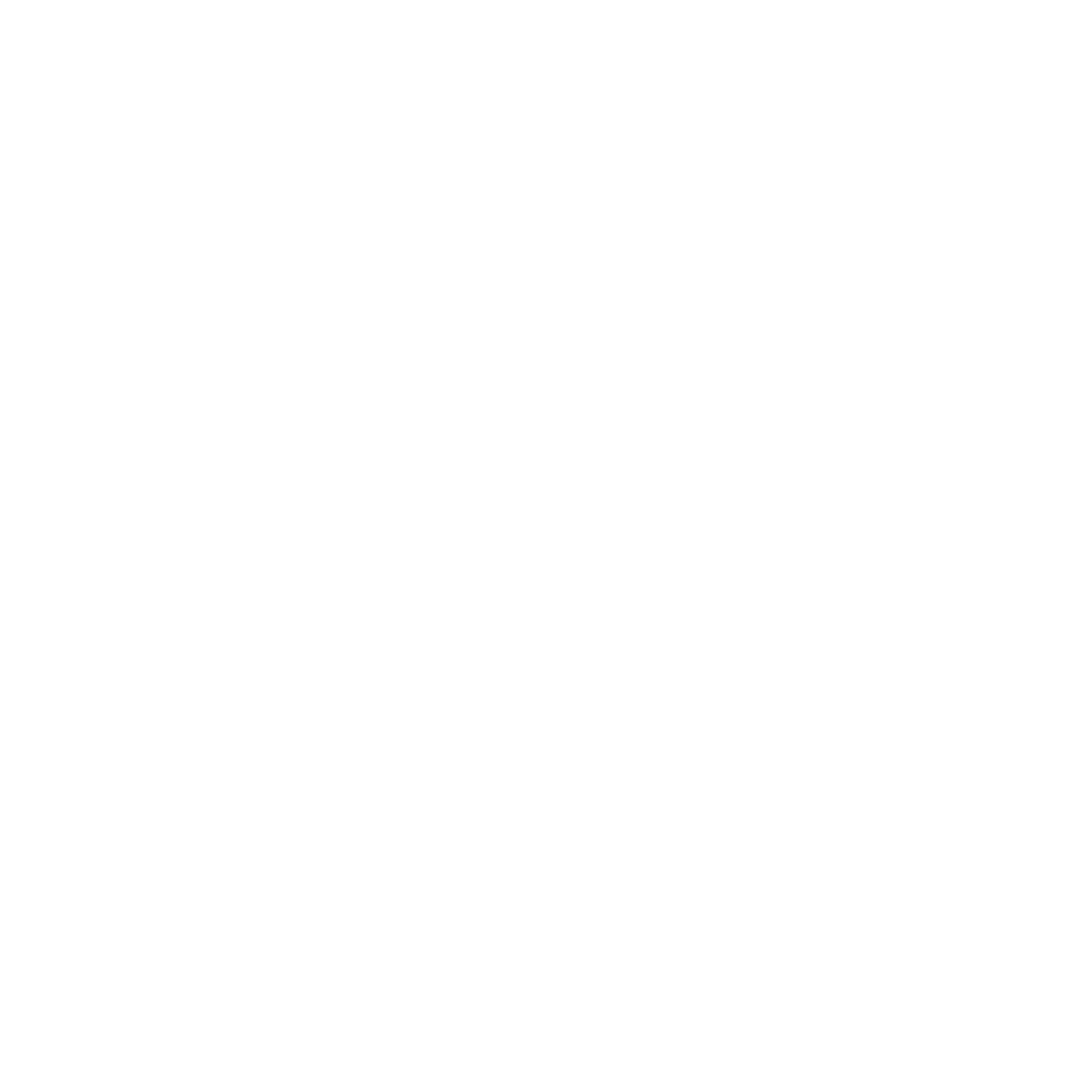 Ajoke Logo White.png