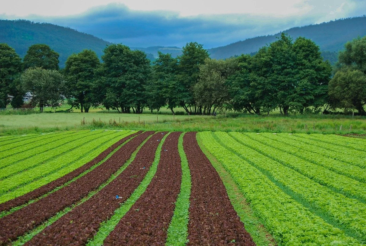 Rural communities unite 