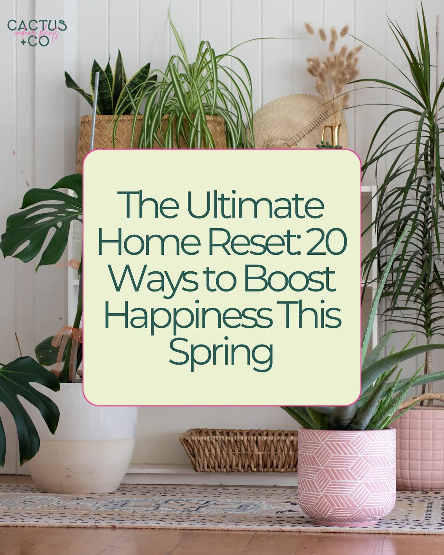 We got to contribute our thoughts on refreshing your space with plants this spring on the @apartmentguide blog. The Ultimate Home Reset: 20 Ways to Boost Happiness This Spring is out now. Find the full blog linked on our website via the Blog &amp; Pr