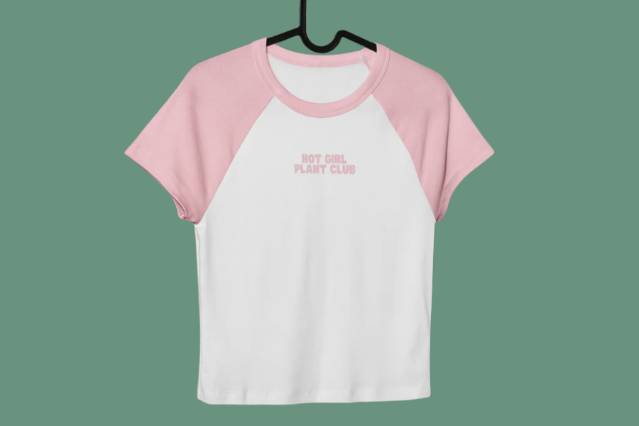 Pink and white raglan t-shirt hanging on a black hanger. The shirt has the text 'Hot Girl Plant Club' printed in light pink on the front.
