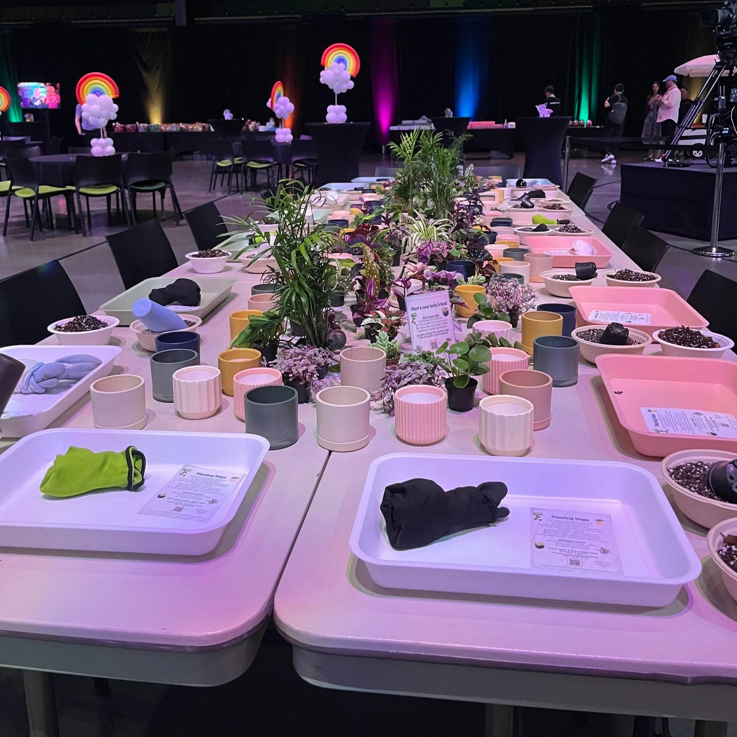 A long table set up for a planting activity, filled with planting trays and gloves around an assortment of houseplants and planters