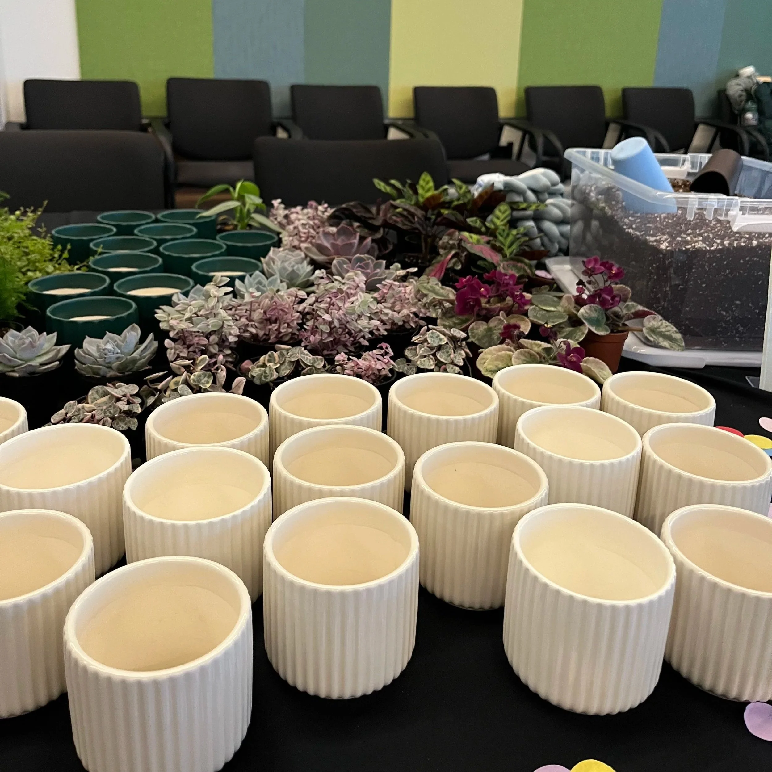 A close up of a table set up for a planting activity, filled with planting supplies, an assortment of houseplants and planters