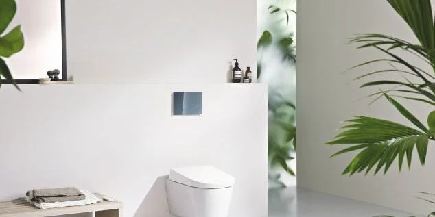 WHAT SHOULD I KNOW BEFORE CHOOSING A CONCEALED CISTERN TOILET?