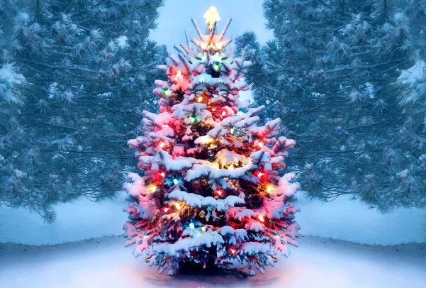 CHRISTMAS TRADING