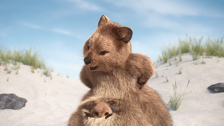 HBF Pocket the savings-high.gif