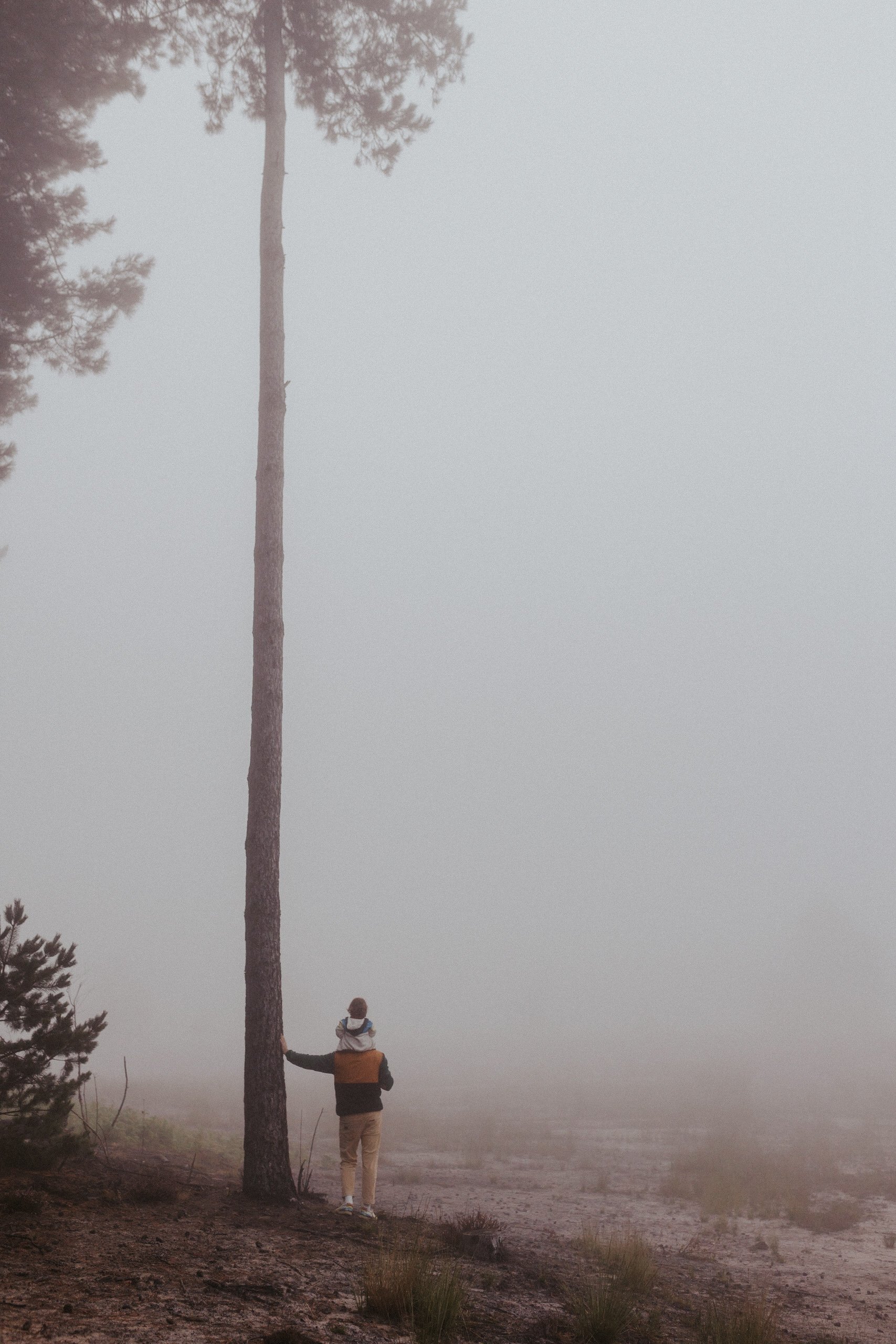Een foto van een papa met zijn zoon op de schouders die tegen een boom leunt op de heide in Tessenderlo