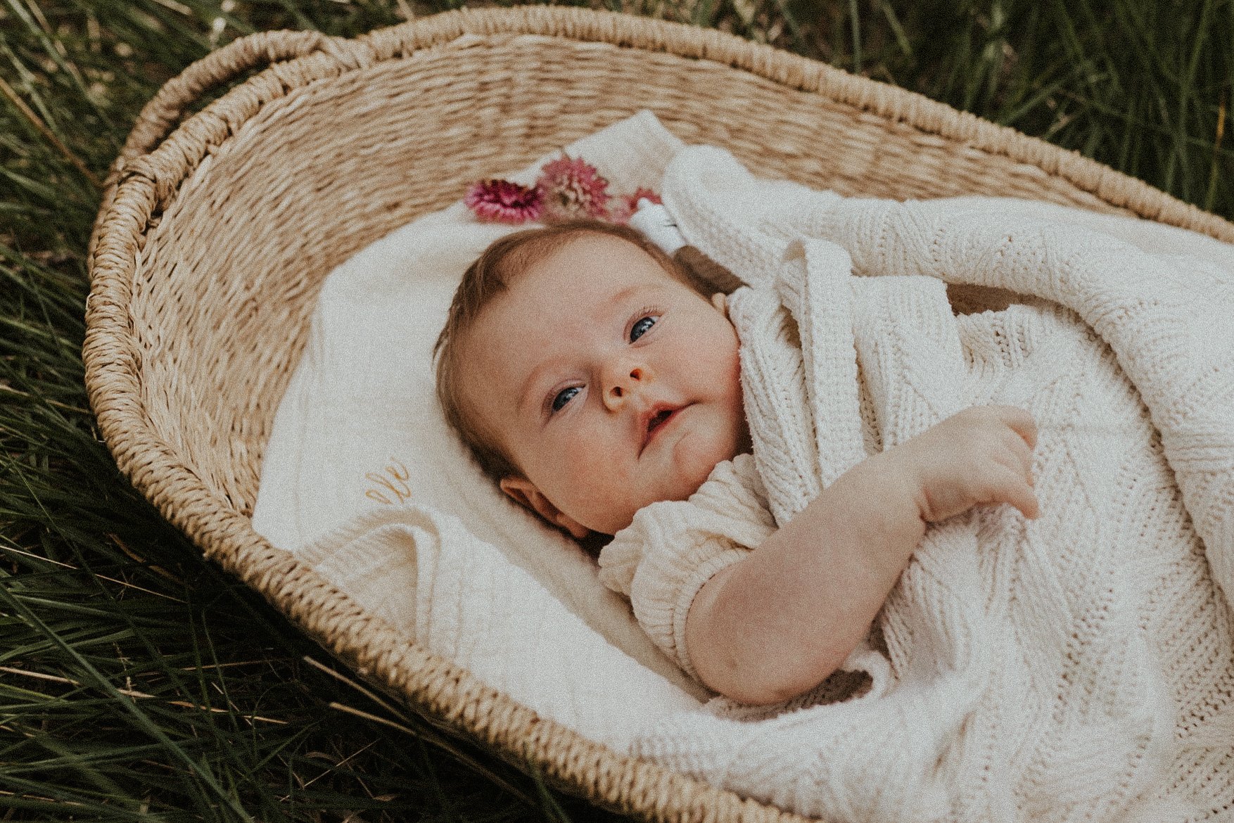 Een foto van een baby in een mandje in het midden van de natuur in Kalmthout