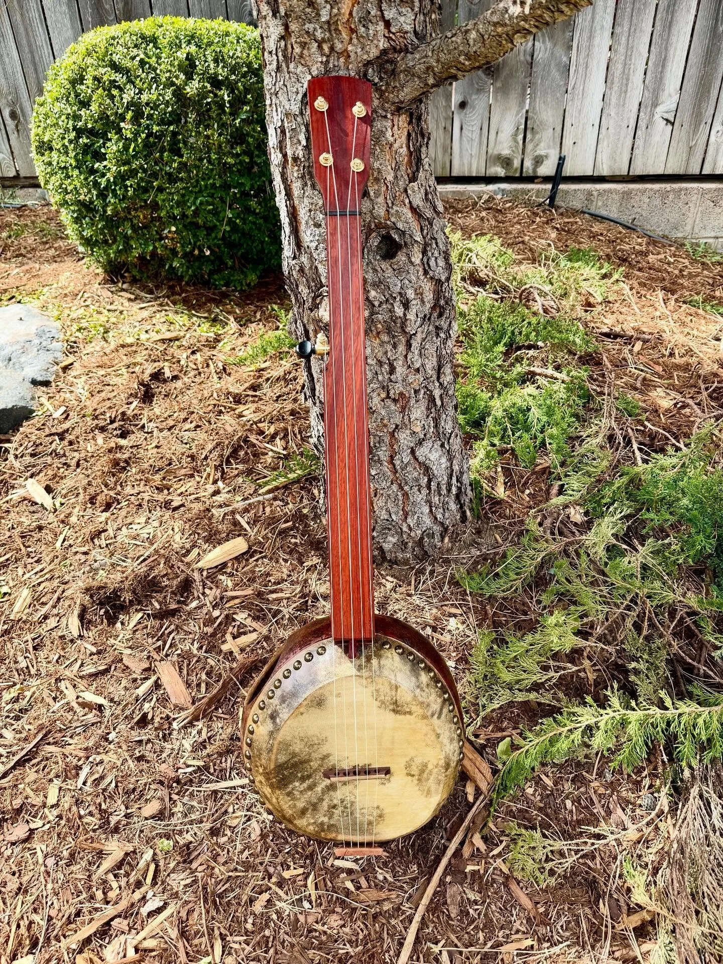 Number 14. Walnut and padauk. This little thing has a big, resounding voice. I&rsquo;m really pleased with it, and it&rsquo;s proving to be a pleasure to play. DM if you might be interested.