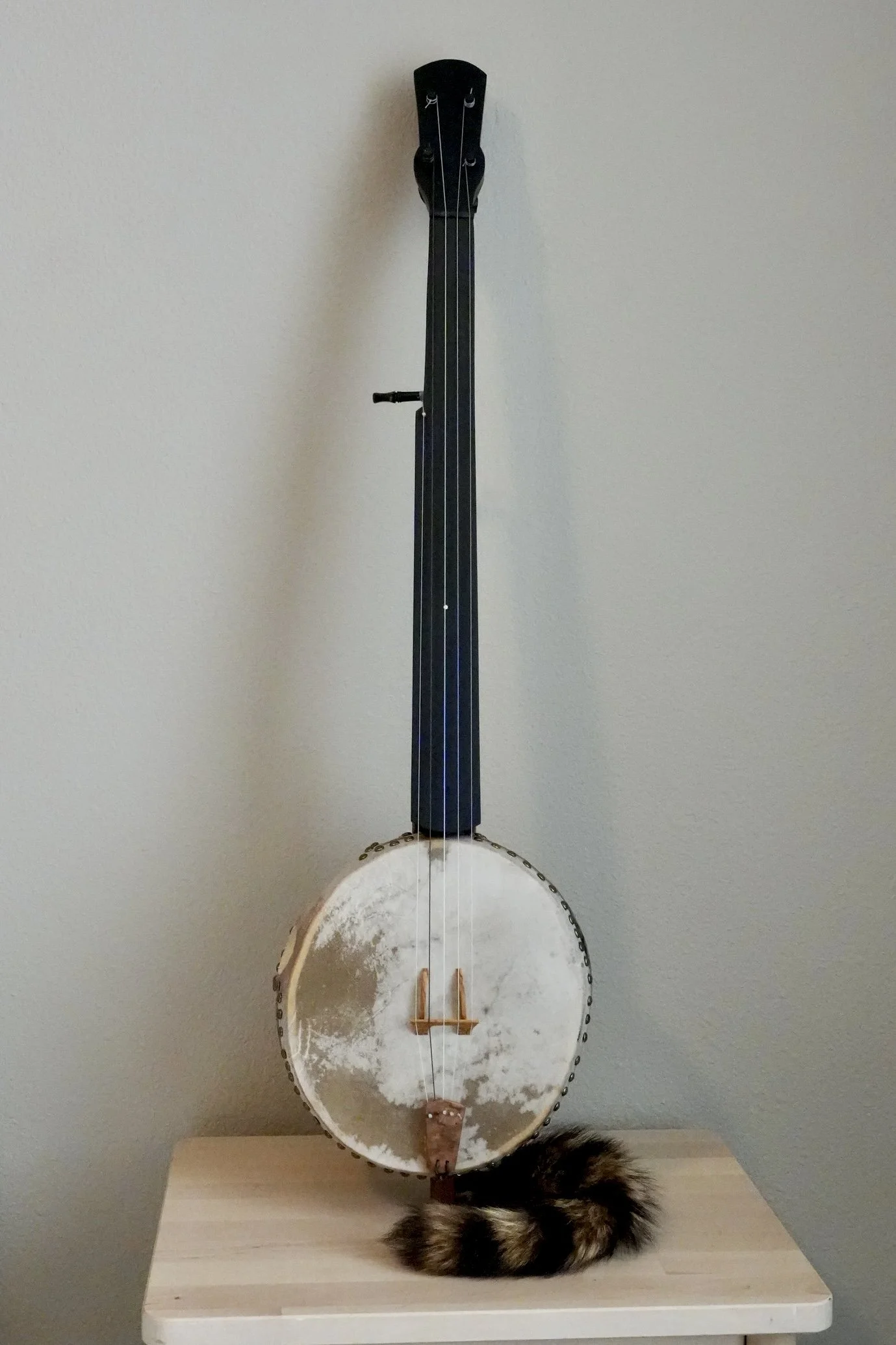 Fretless Gourd Banjo #5