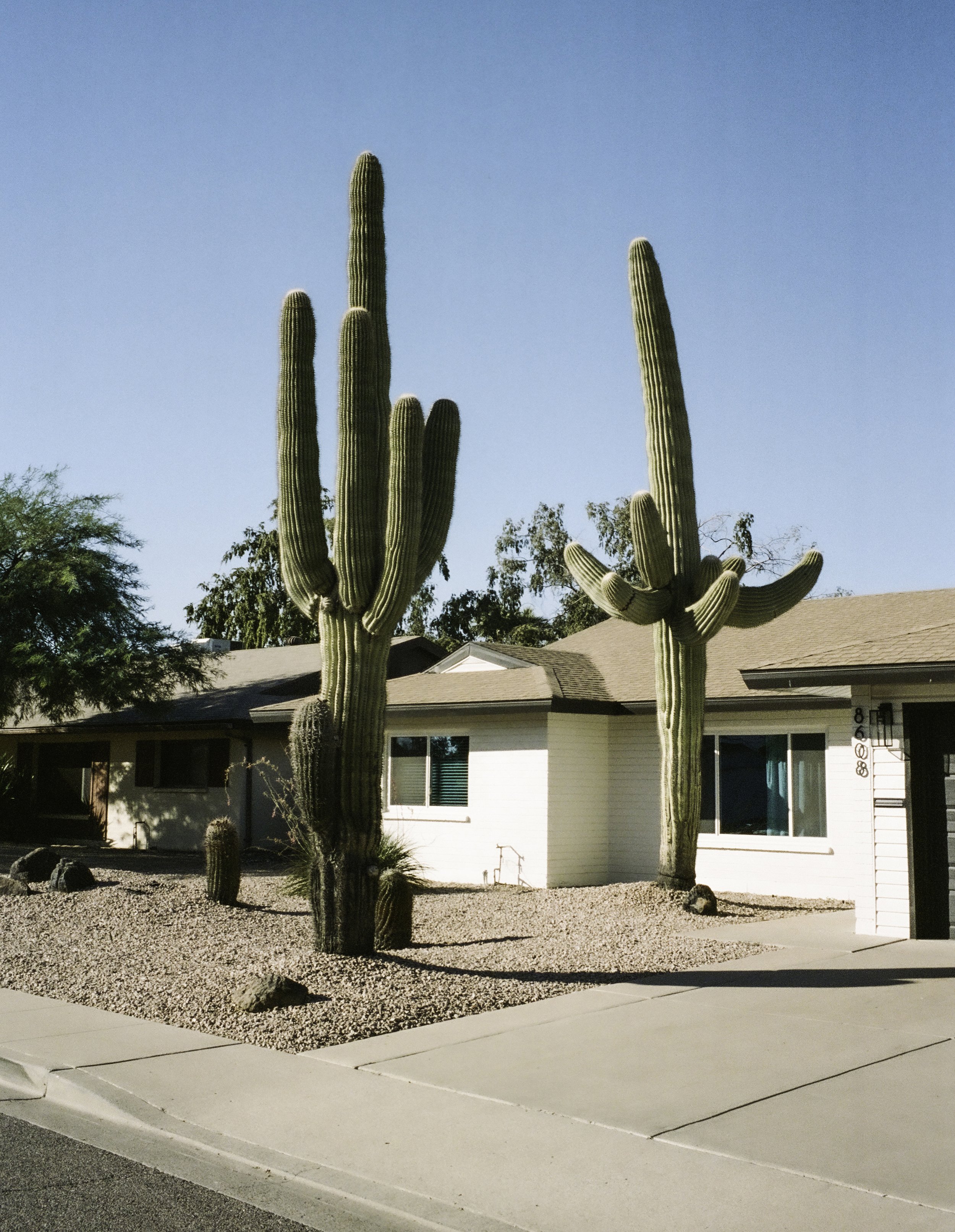 RamonaDeckers_Arizona_2021.jpg