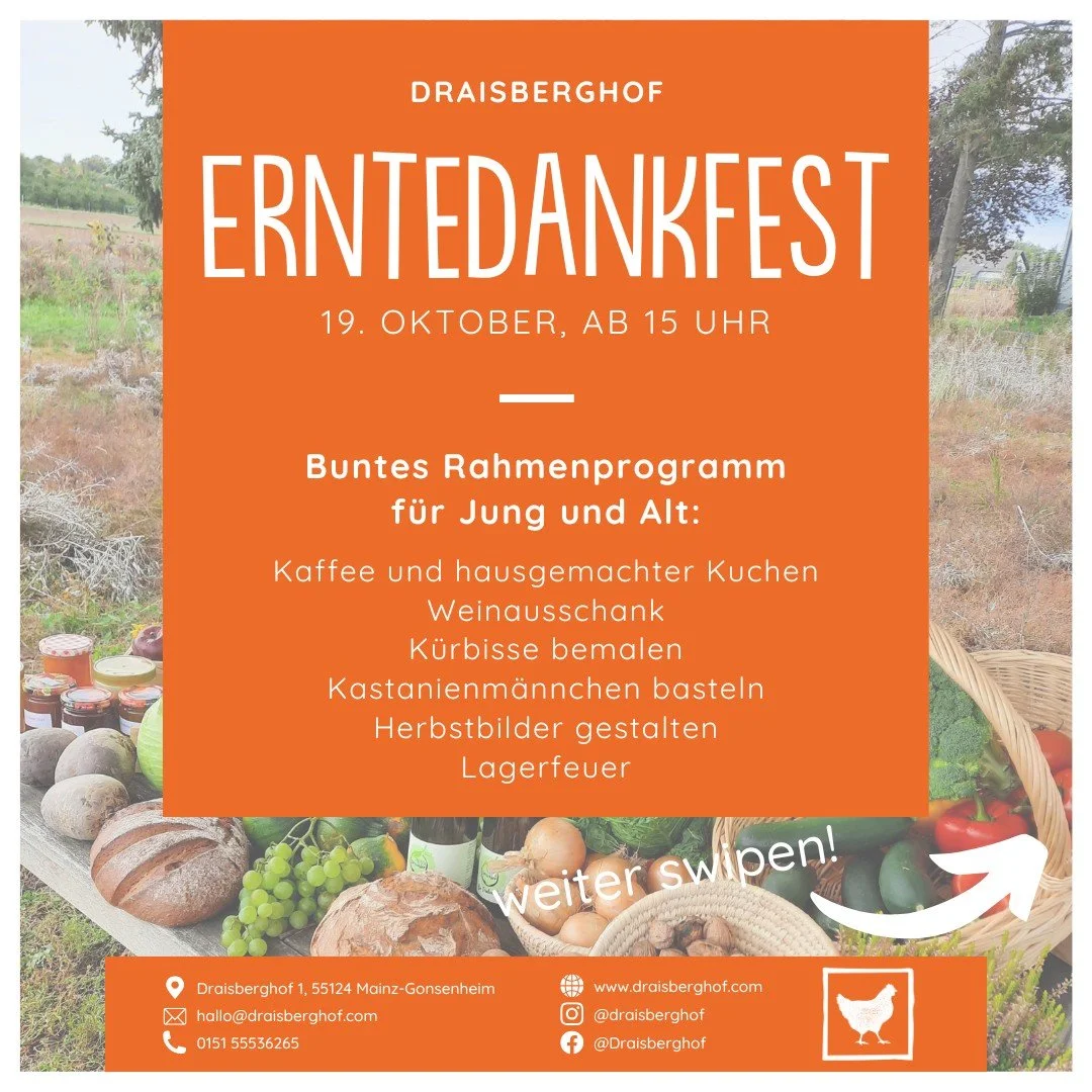 ERNTEDANKFEST // Anfang November endet die Stadtgem&uuml;se-Saison auf dem Draisberghof - wie jedes m&ouml;chten wir mit einem gro&szlig;en Erntedankfest f&uuml;r das zur&uuml;ckliegende Jahr und eine reiche Ernte danken. Aber der Tag startet schon f