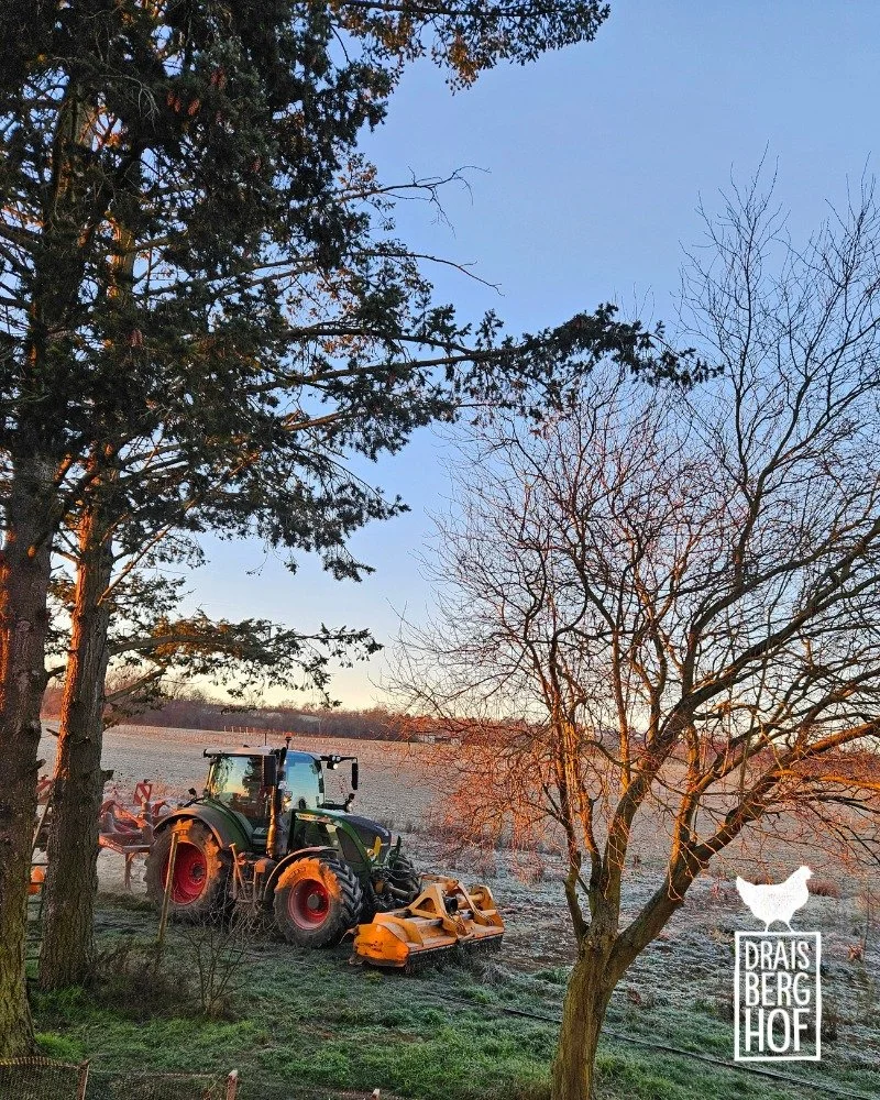 BODENBEARBEITUNG // Kurz vor dem Jahreswechsel hat Lukas den ersten Durchgang bei der Bearbeitung des Stadtgem&uuml;se-Ackers gemacht. Mit gro&szlig;em Ger&auml;t hat er fr&uuml;hmorgens die gefrorenen Pflanzenreste gemulcht, also abgem&auml;ht bzw. 